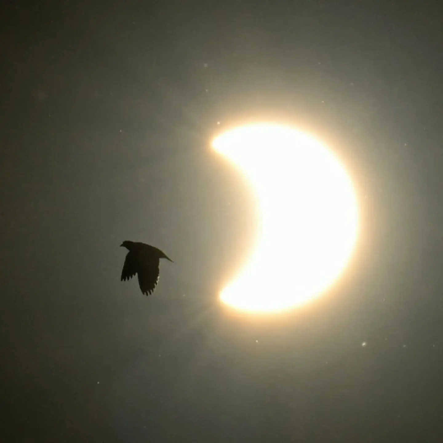 ARGENTINA-ASTRONOMY-ECLIPSE