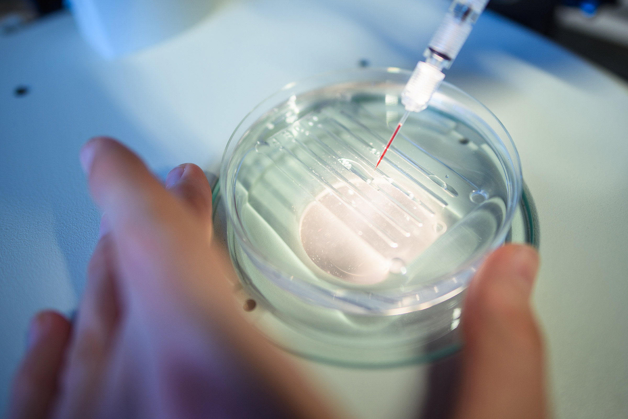 Gene Editing CRISPR-cas9