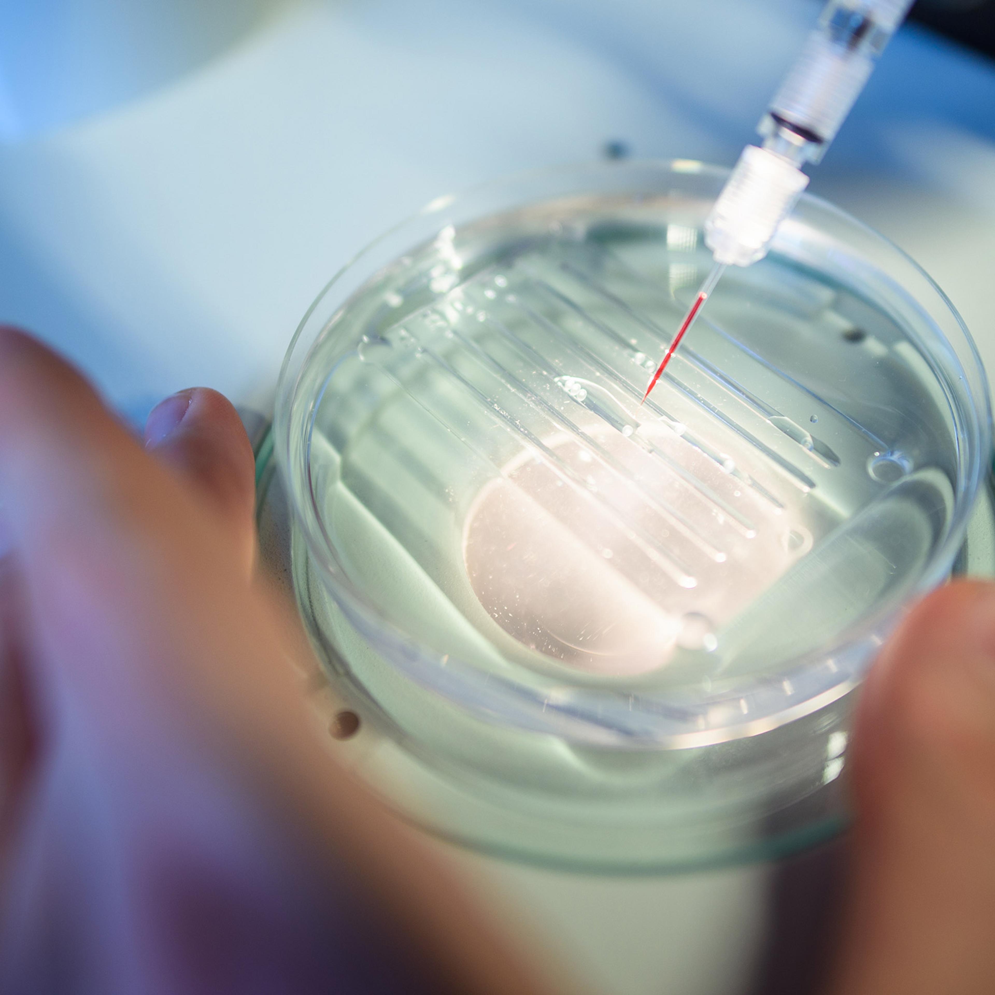 Gene Editing CRISPR-cas9