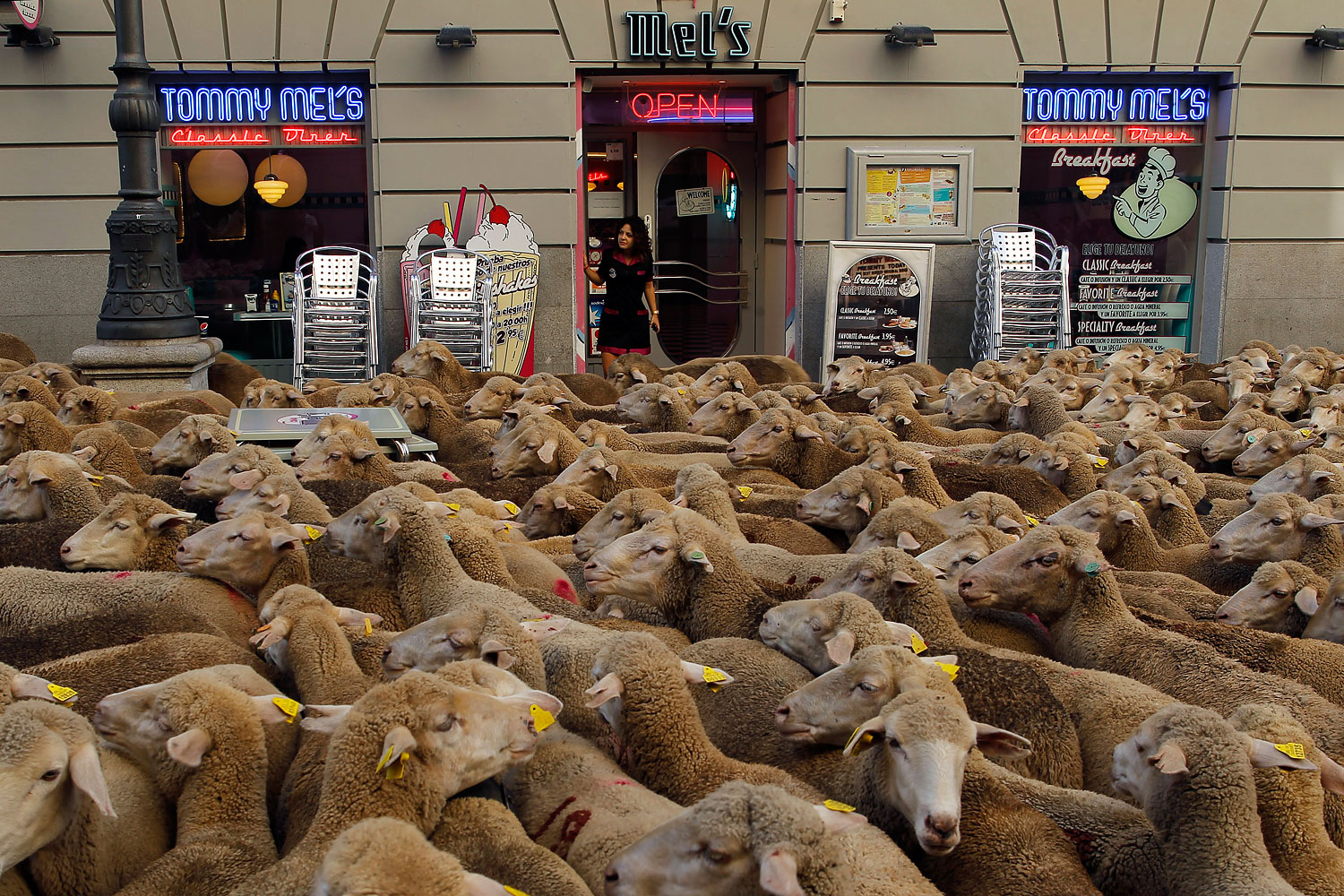 APTOPIX Spain Sheep Crossing