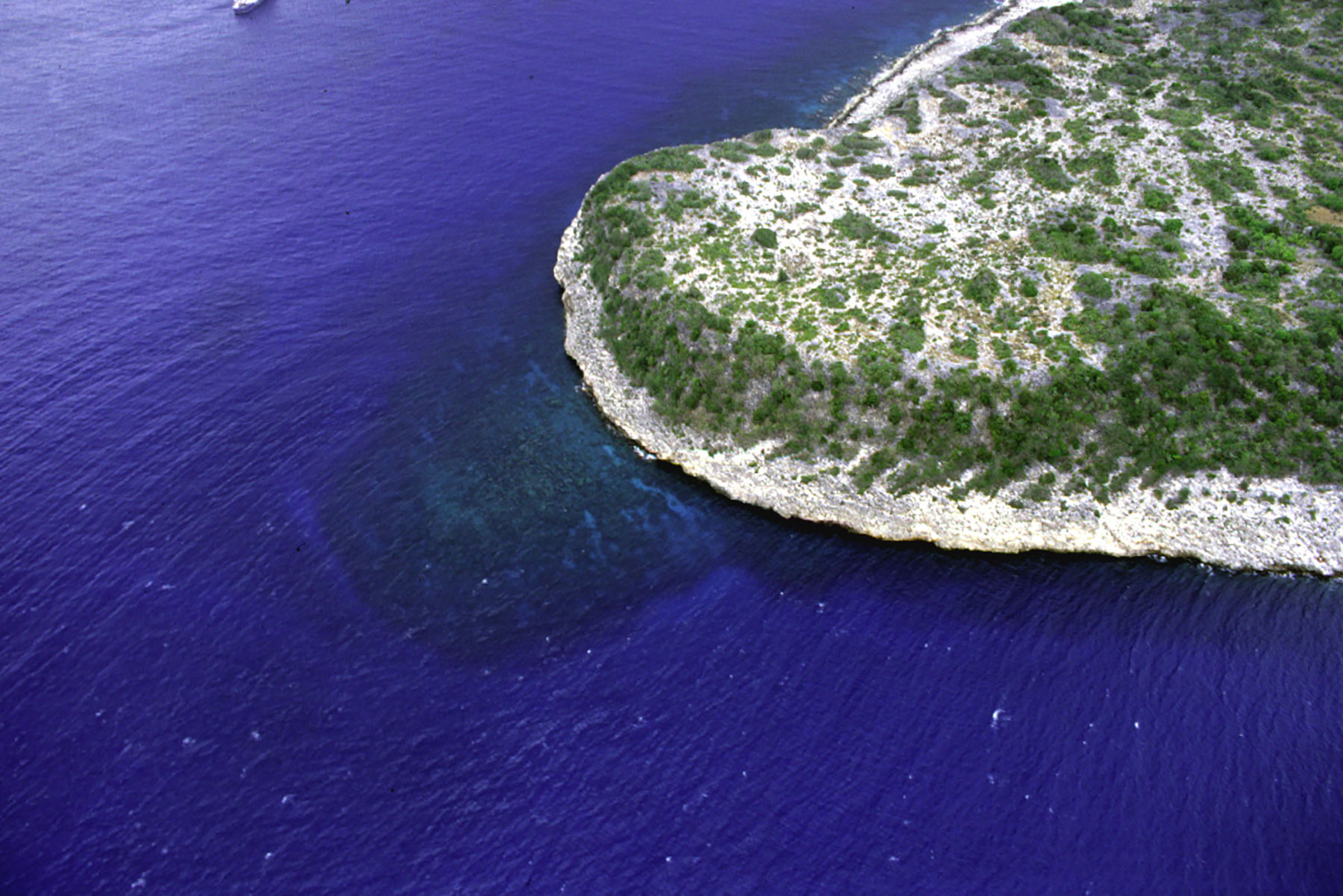 Northwest point of the island of Navassa