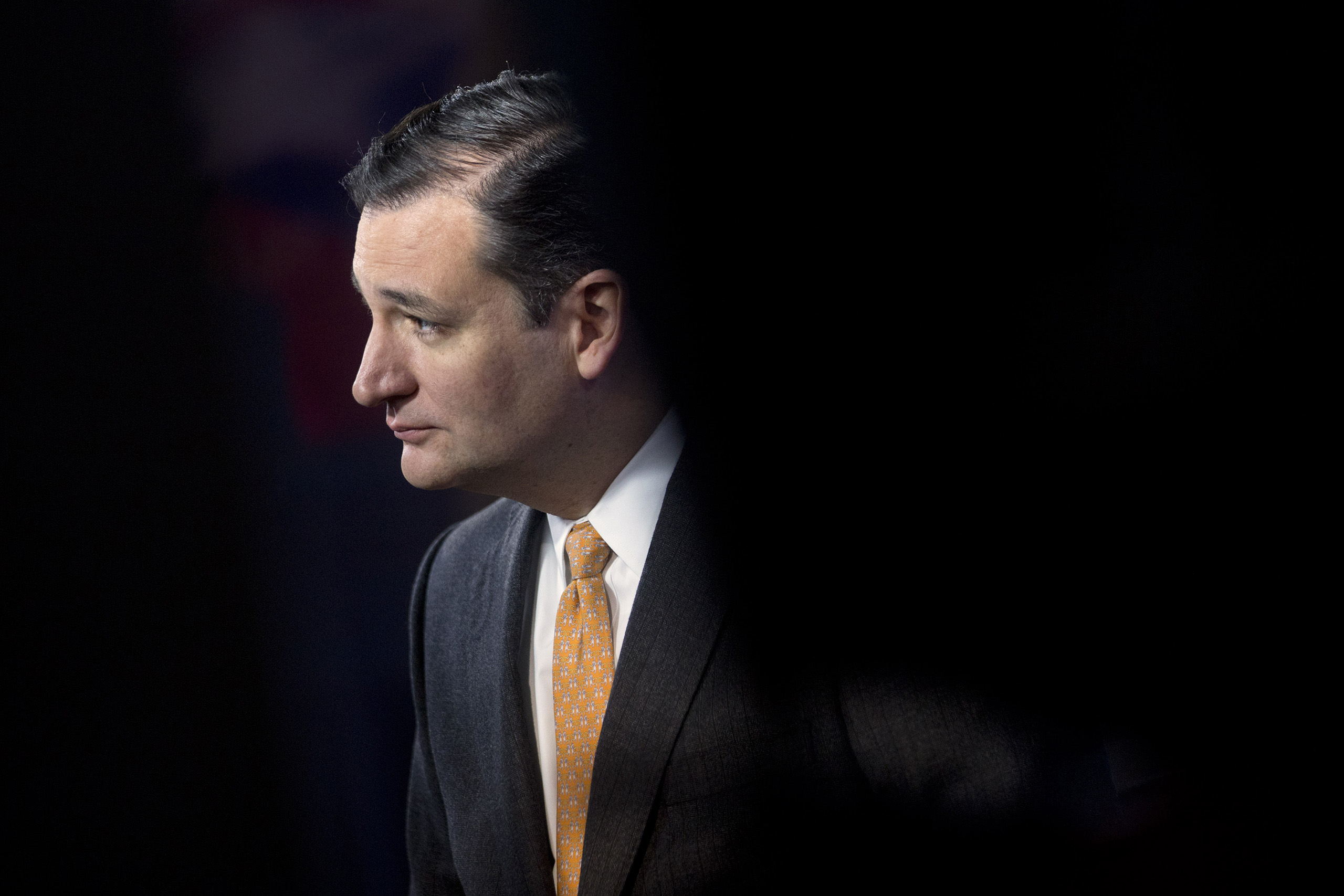 Senator Ted Cruz in Washington, D.C., on Jan. 30, 2014.