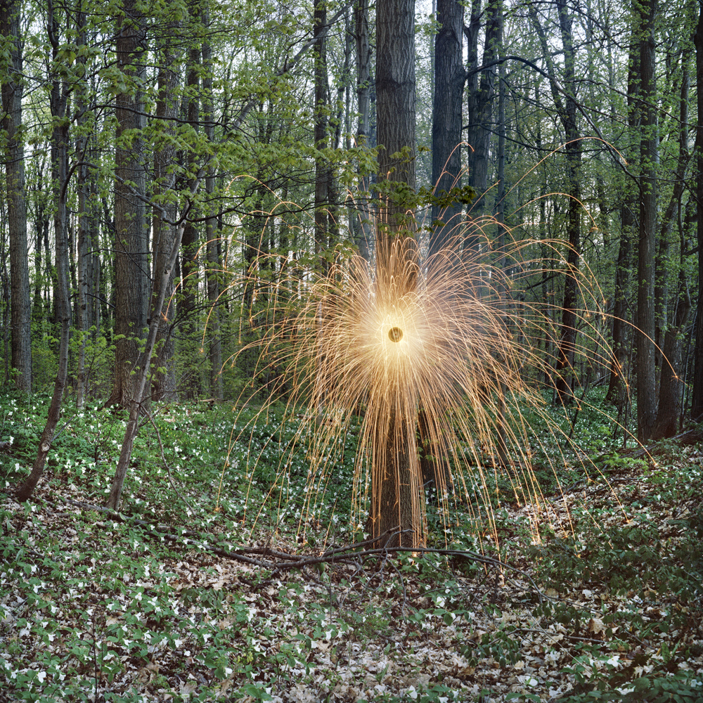 Spiral, 2013