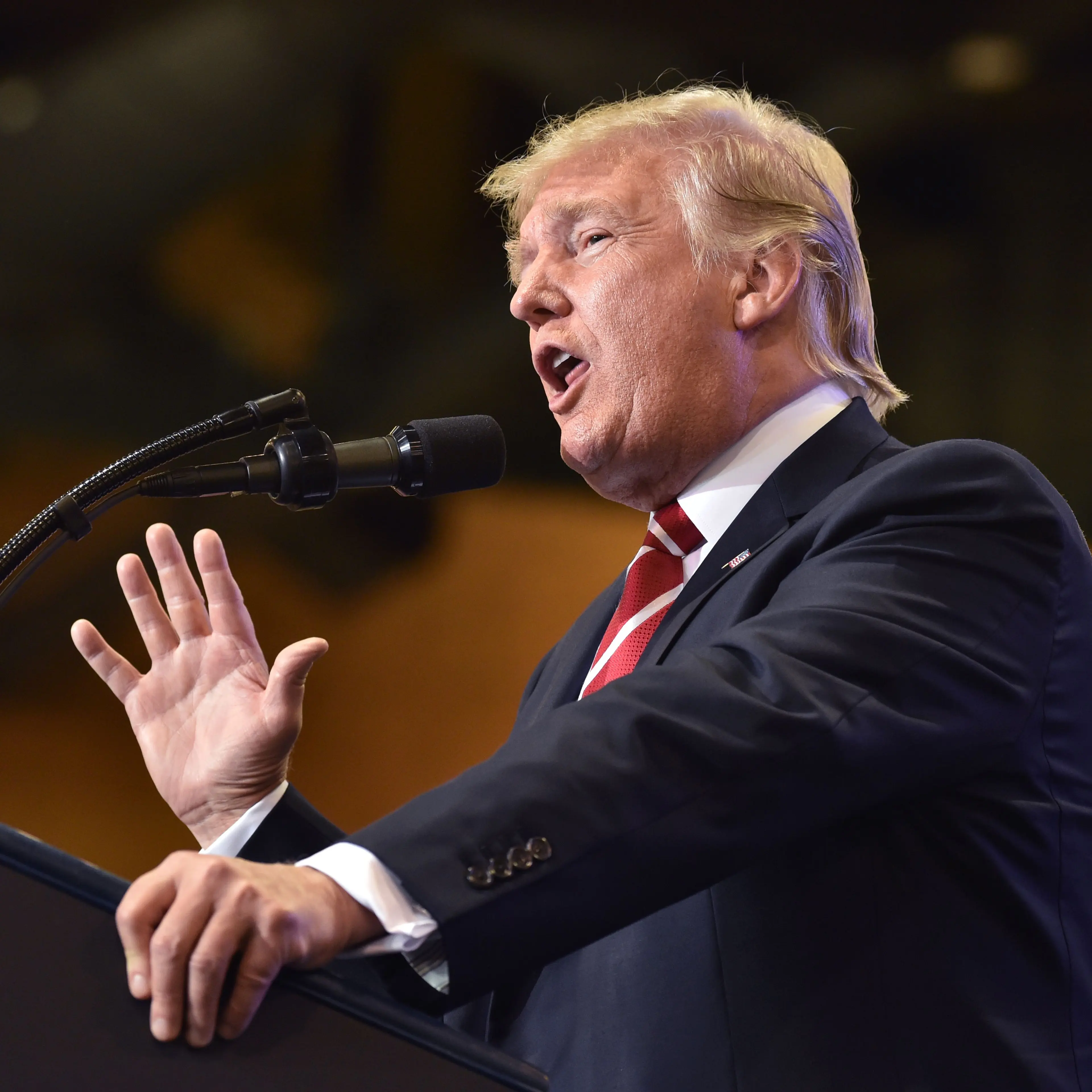 US-POLITICS-TRUMP-RALLY