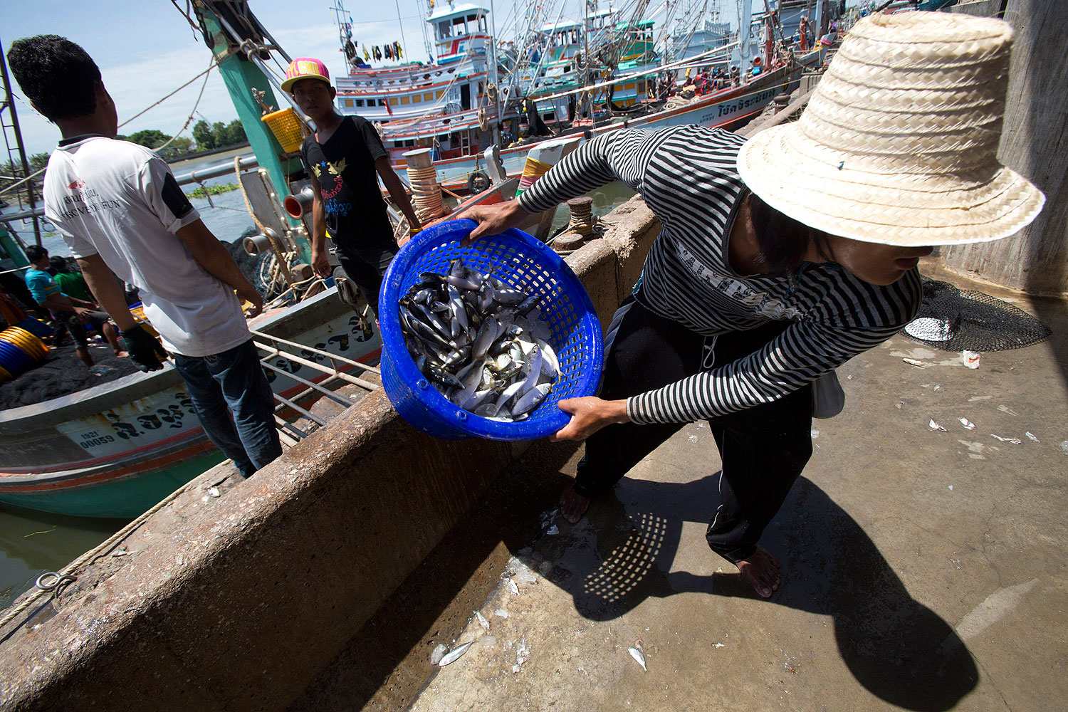 Workers from Burma land fish after a trip to the Gulf of Thailand