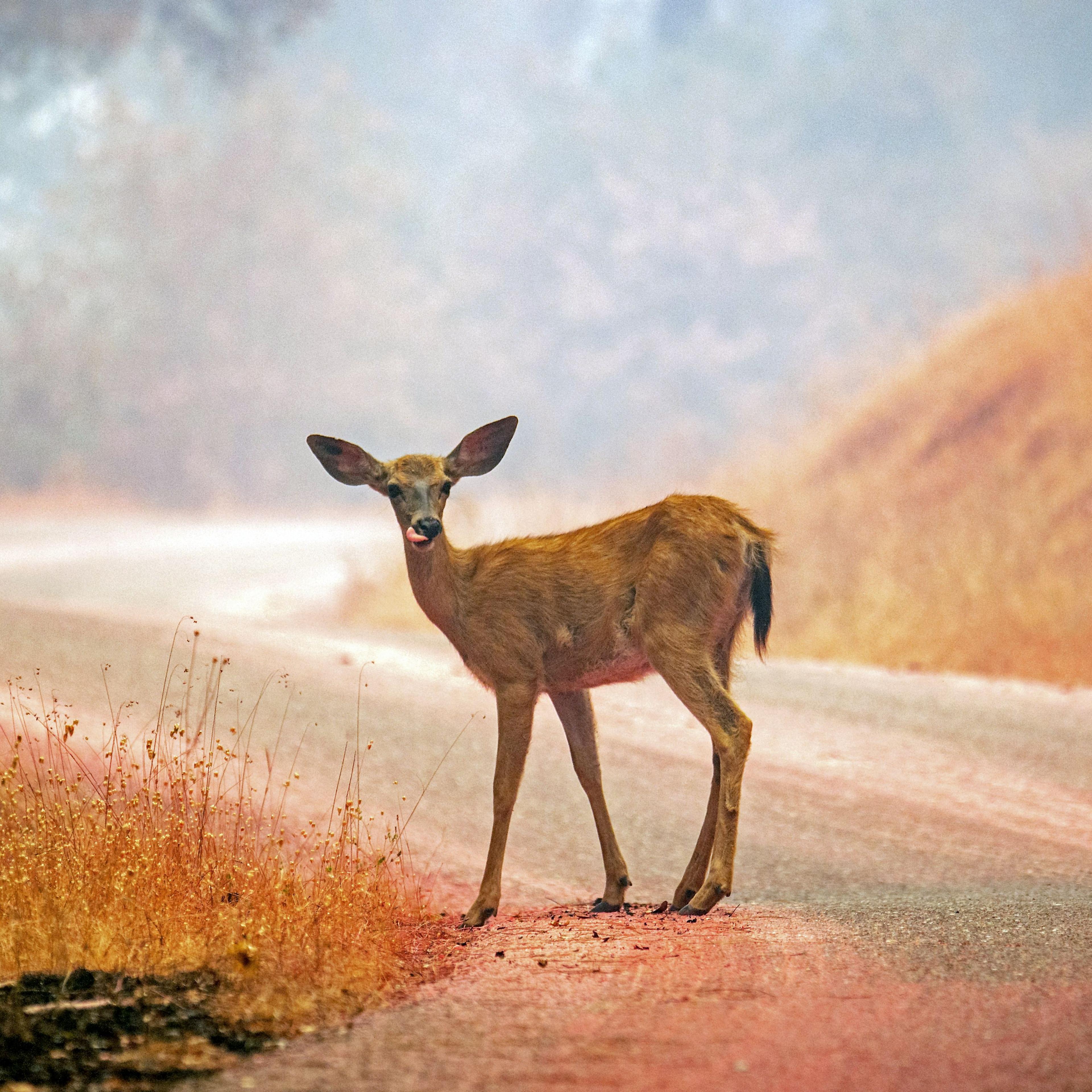 TOPSHOT-US-WILDFIRES-CALIFORNIA