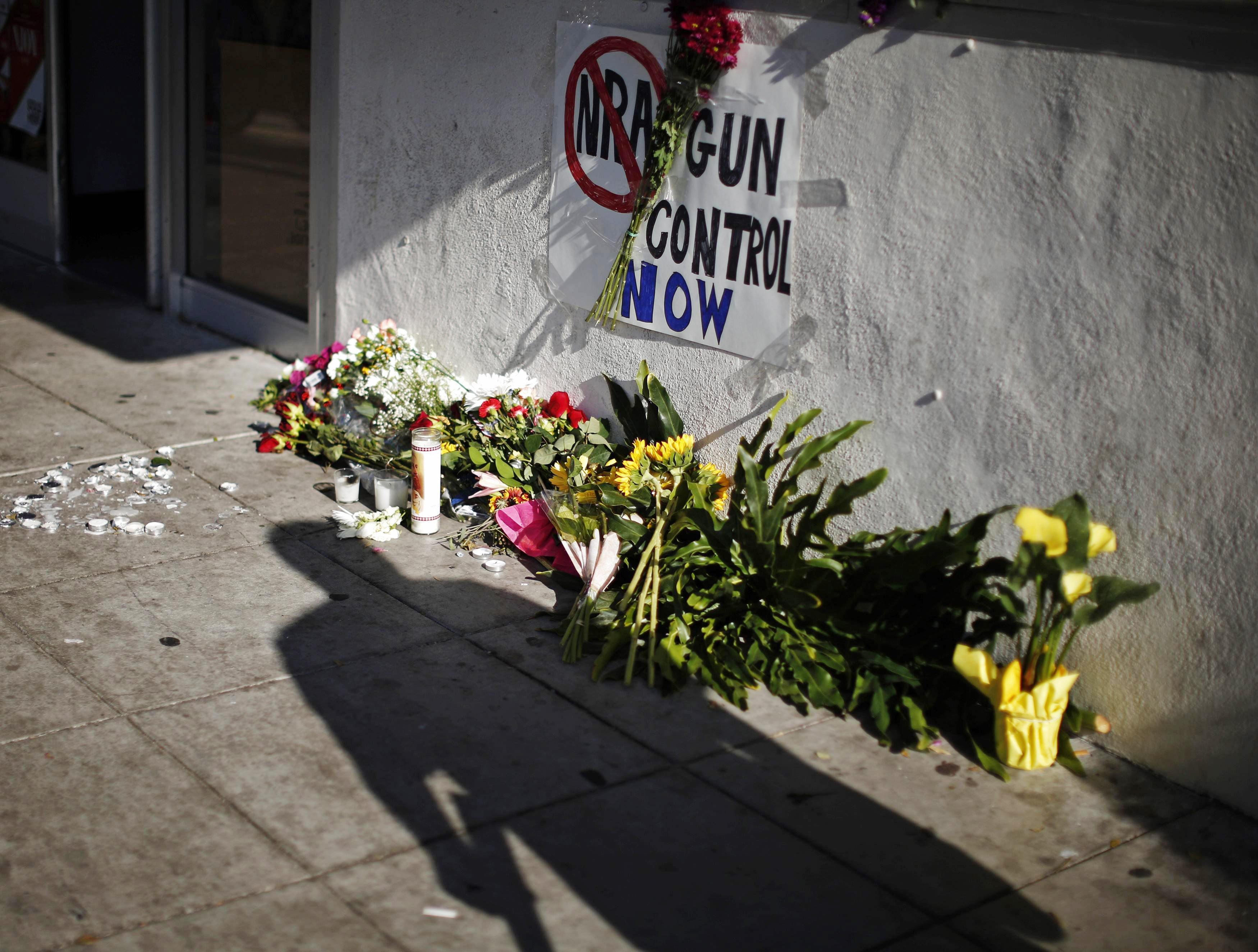 Gun Control Isla Vista Shooting