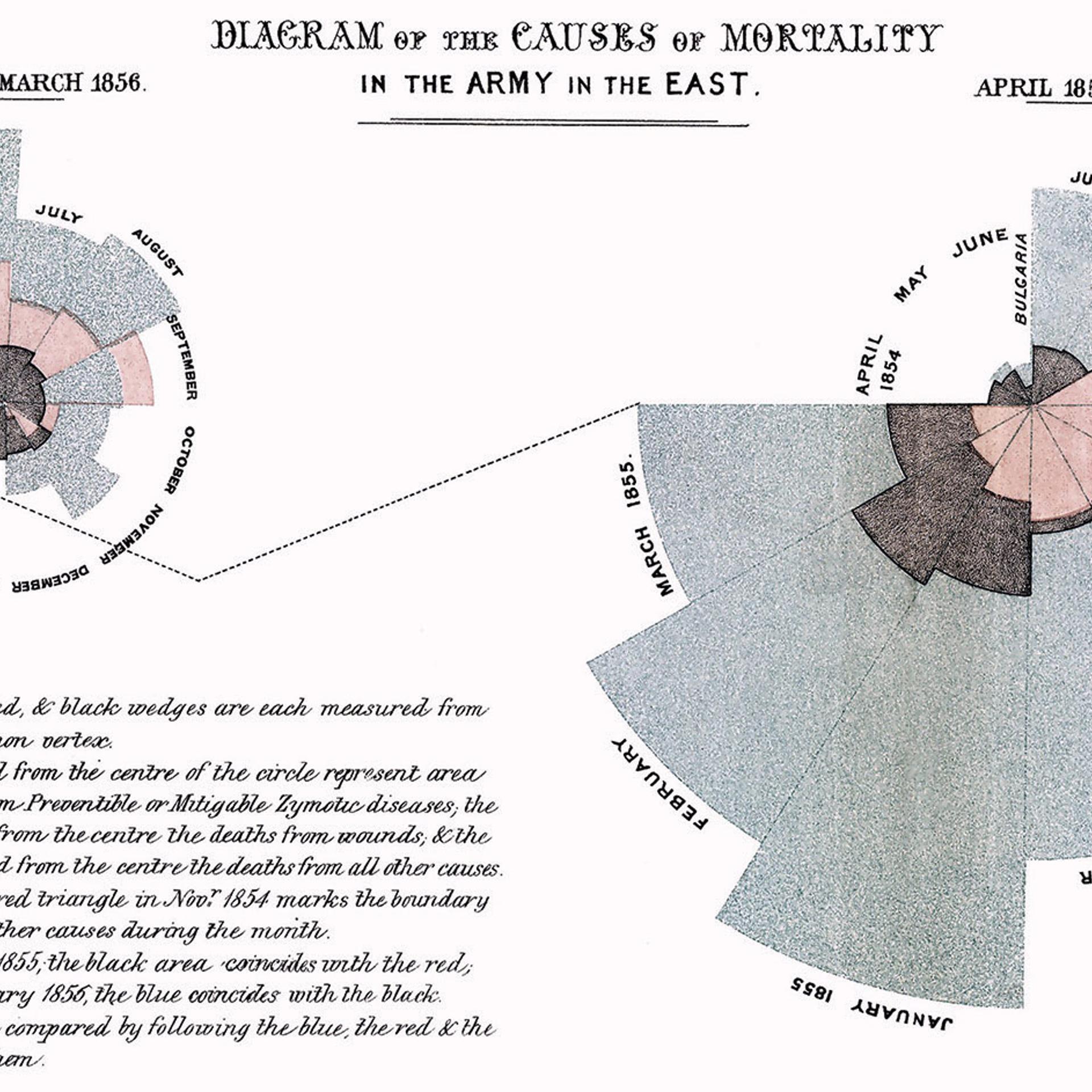 “Diagram of the Causes of Mortality in the Army in the East,” in F. Nightingale, A Contribution to the Sanitary History of the British Army during the Late War with Russia (London: John W. Parker, 1859).