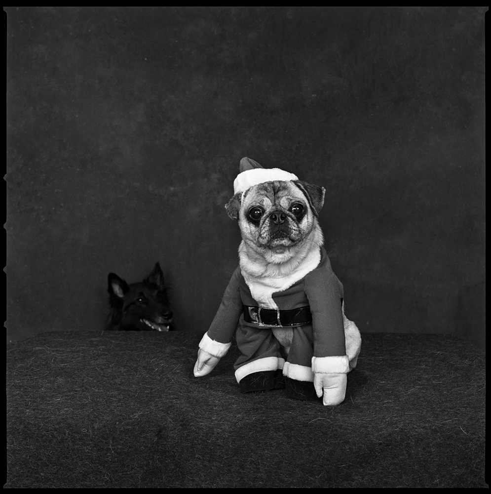 2002: Christmas  Milouche in a Santa costume. Look at the dog sneaking behind!