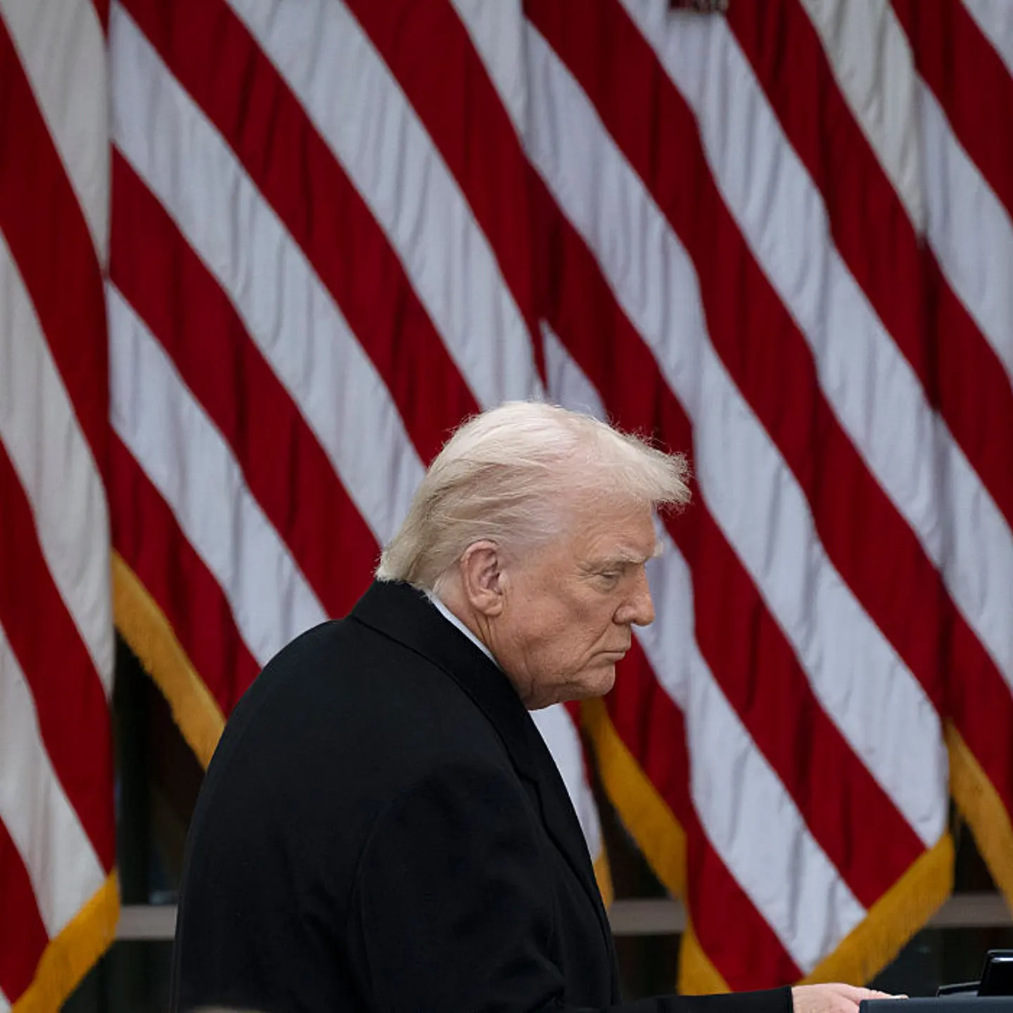 Trump Rose Garden