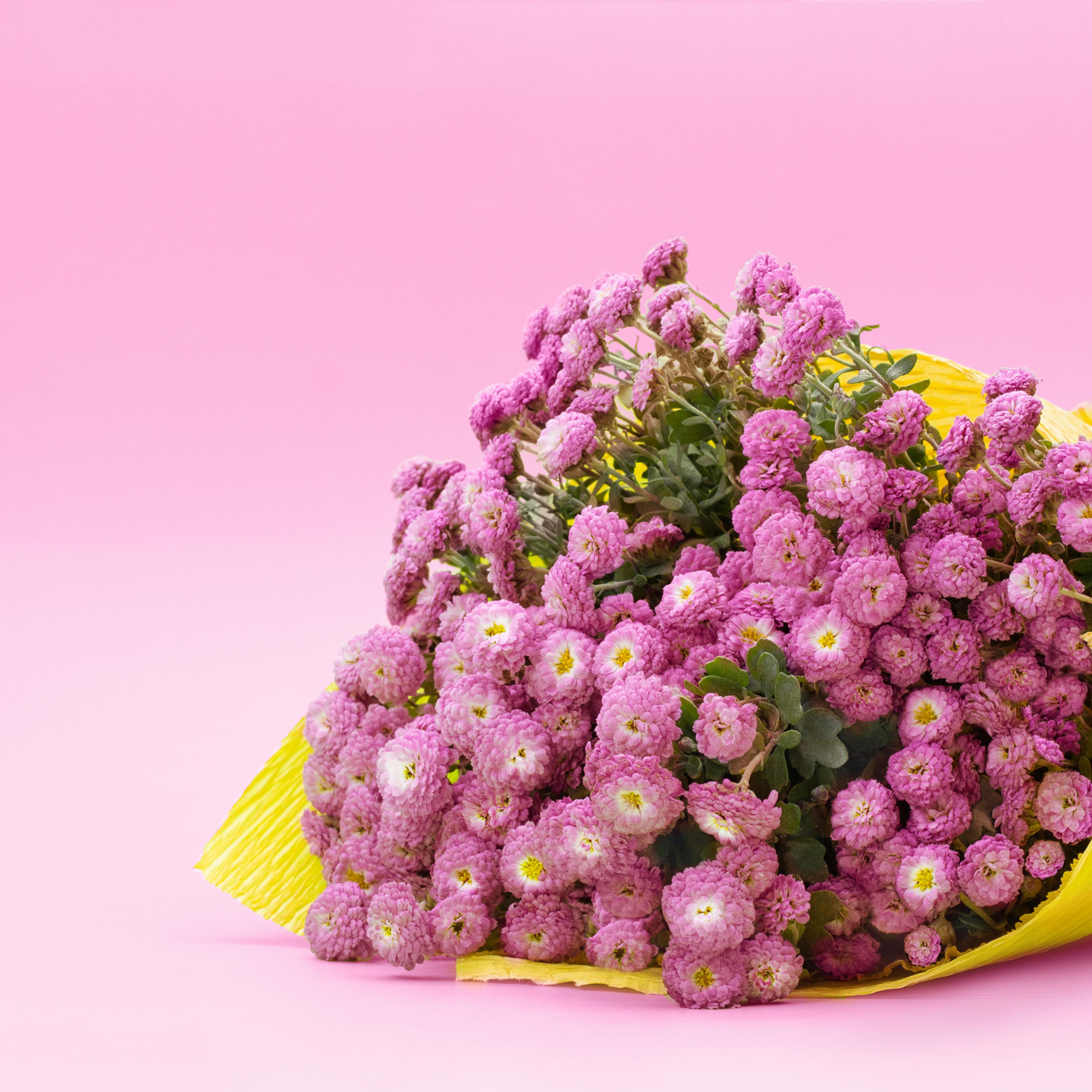 Bouquet of small lilac chrysanthemums in yellow paper on green background Congratulation,Birthday,Romania