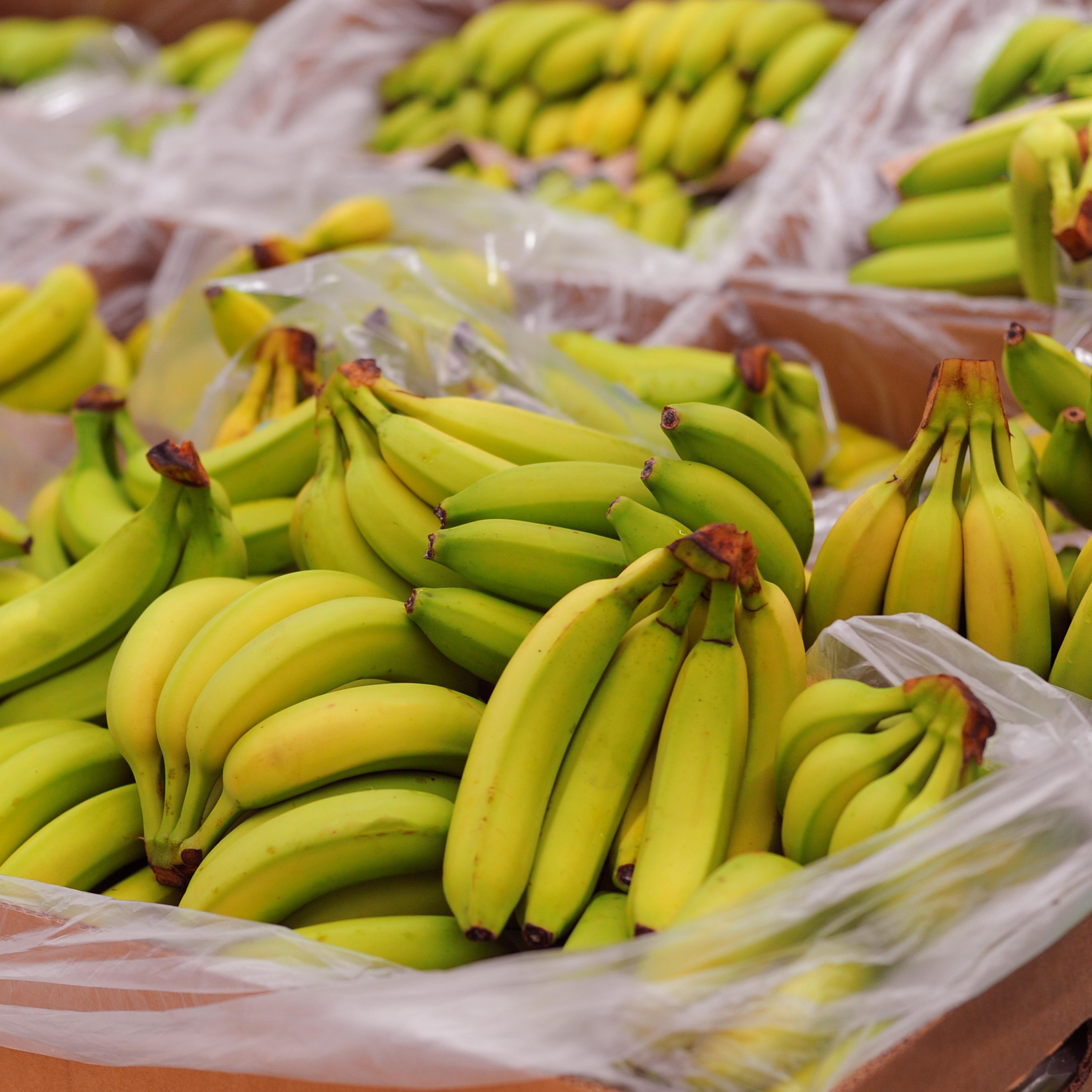 Ripe bananas on boxes in supermarket