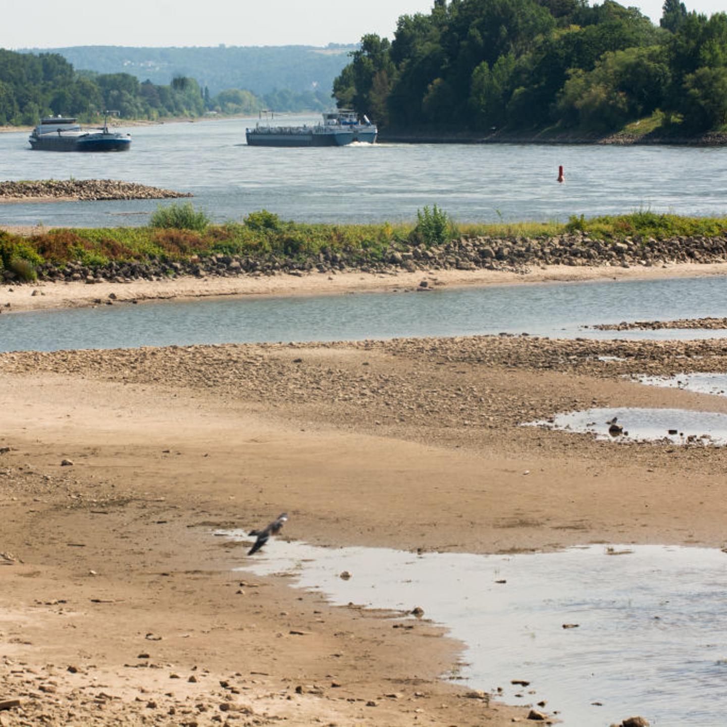Low Water Levels On The Rhine River In Bad Honnef