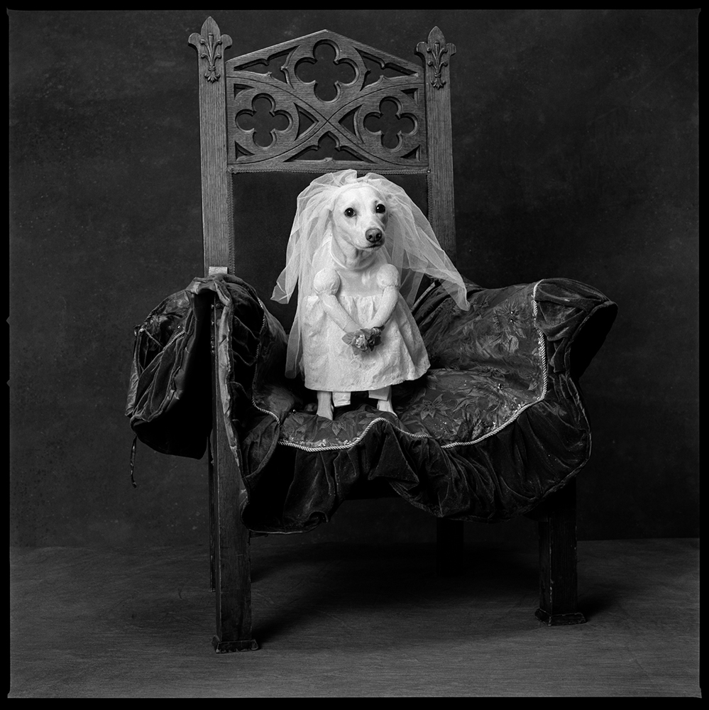 2010: Royal WeddingBuster in a wedding dress.