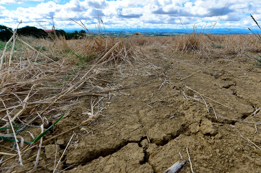 Drought in France, Aug. 2020