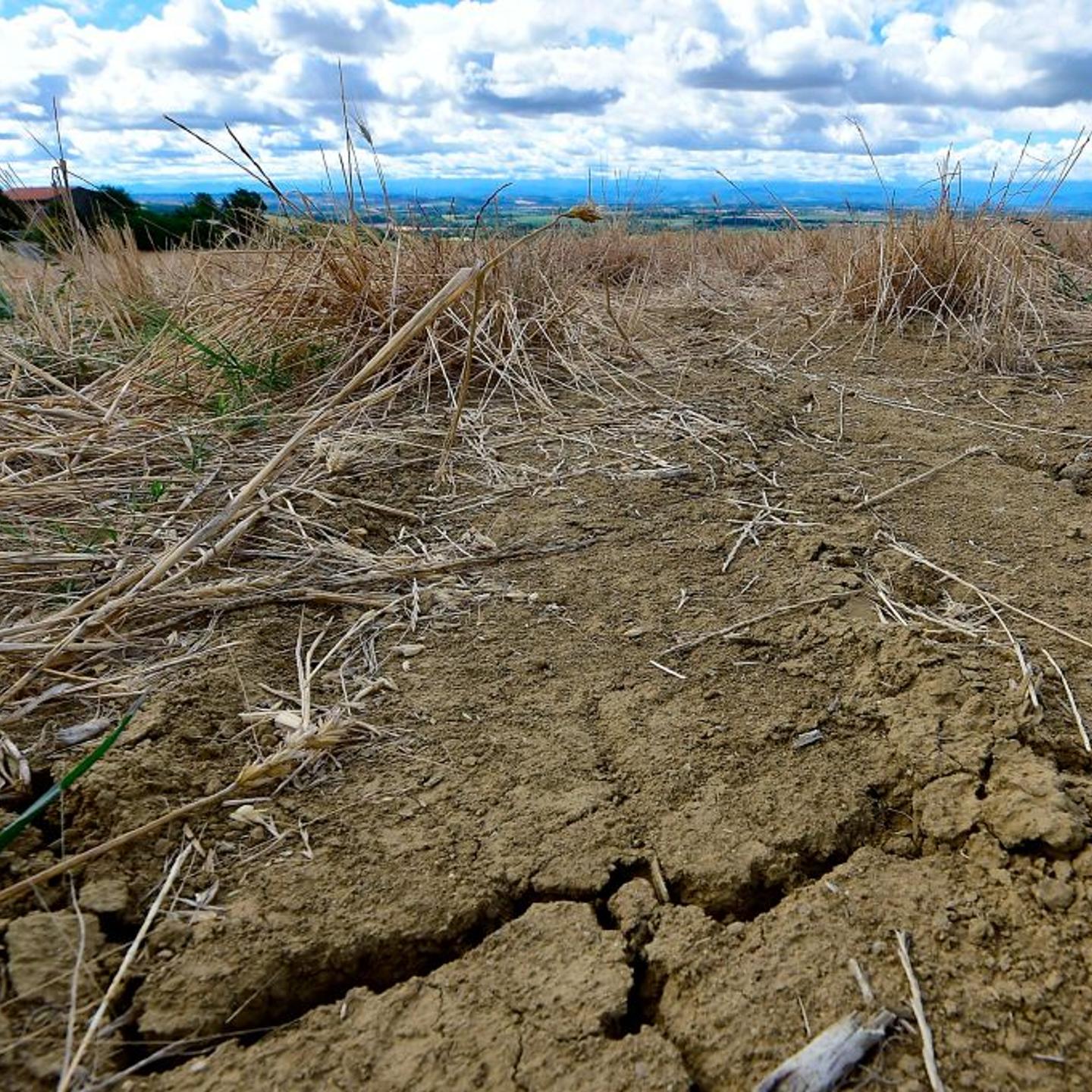 Drought in France, Aug. 2020