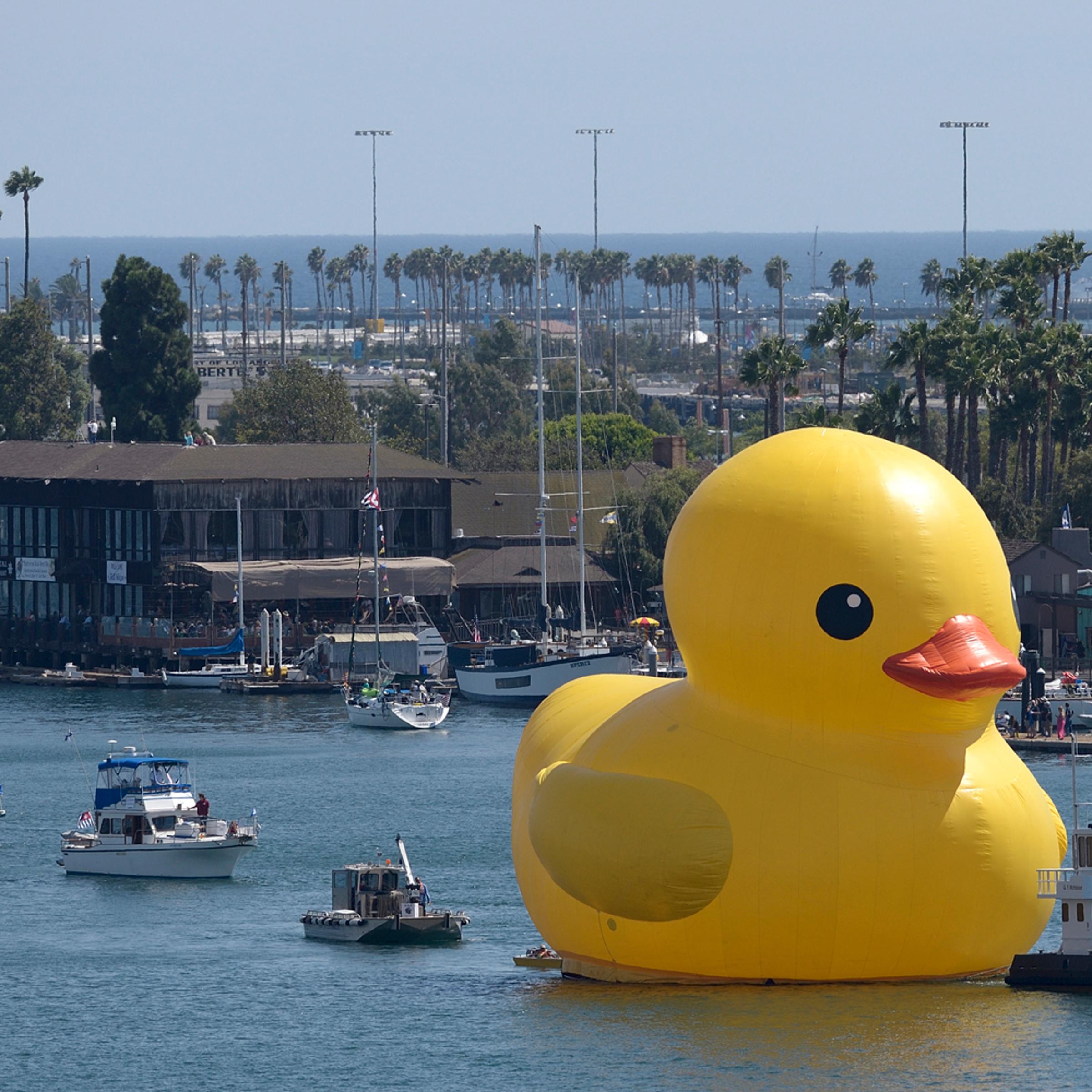 A giant yellow vinyl duck joins sailing ships and motorboats during the Tall Ships Festival L.A. parade in the Port of Los Angeles on Wednesday, Aug. 20, 2014.