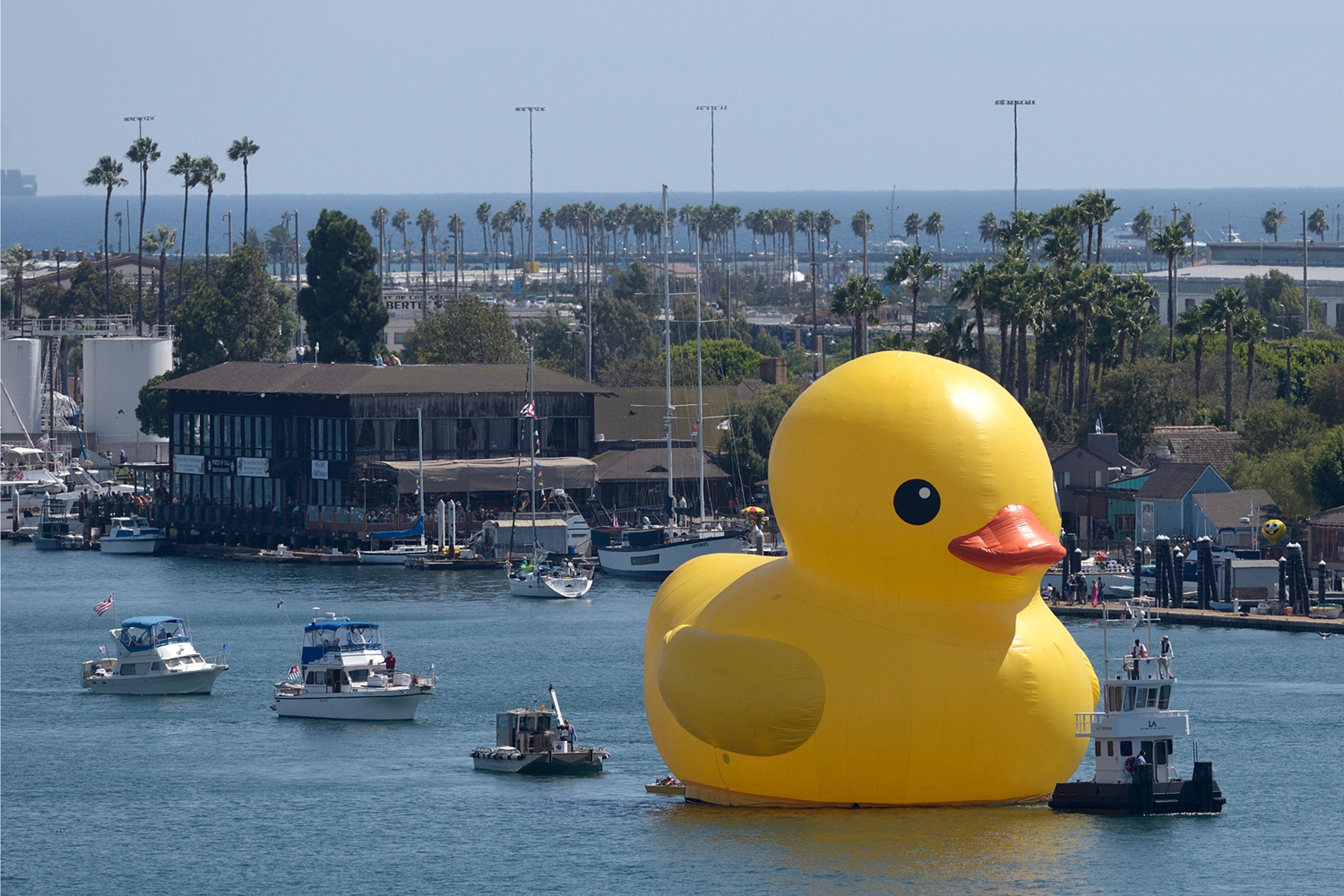 A giant yellow vinyl duck joins sailing ships and motorboats during the Tall Ships Festival L.A. parade in the Port of Los Angeles on Wednesday, Aug. 20, 2014.