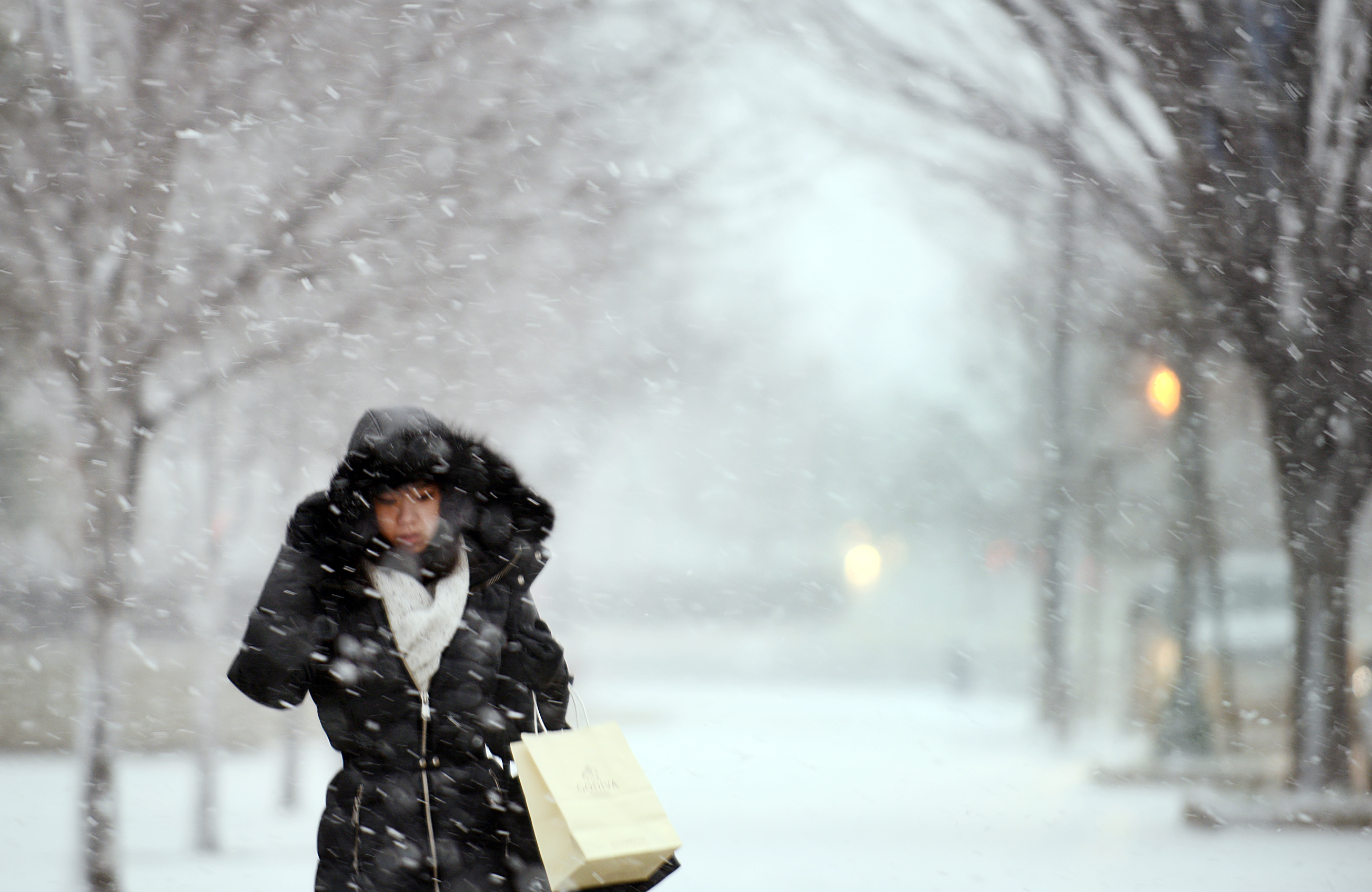Ai Koid, 25, fights gusty wind chills and snow while walking to the bus stop at Dupont Circle in Washington, D.C., on Feb. 13, 2016.