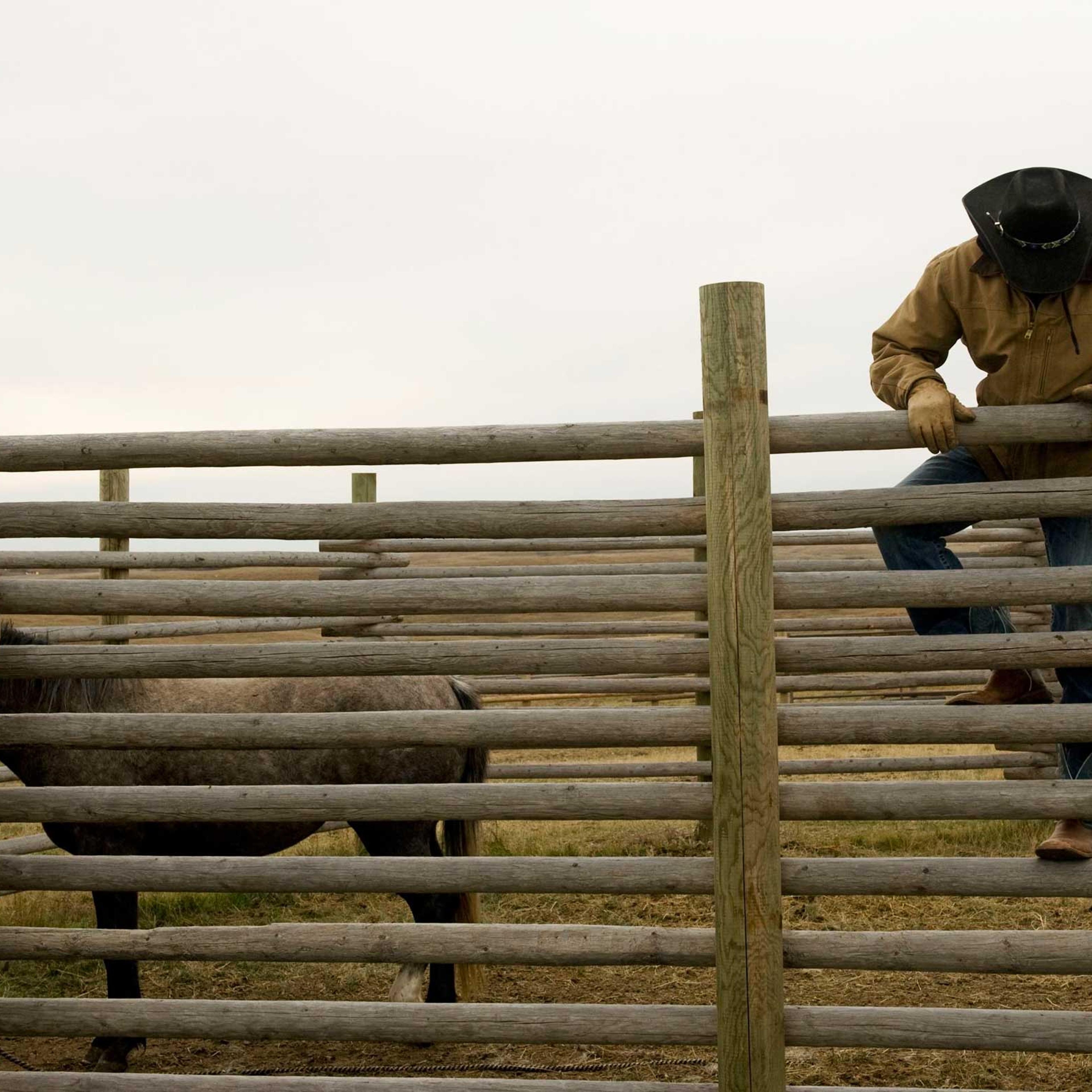 Jesse Bear climbs over a corral fence to train a horse on the ranch owned by his father, a Three Affiliated Tribes member, just off the Fort Berthold Reservation in North Dakota