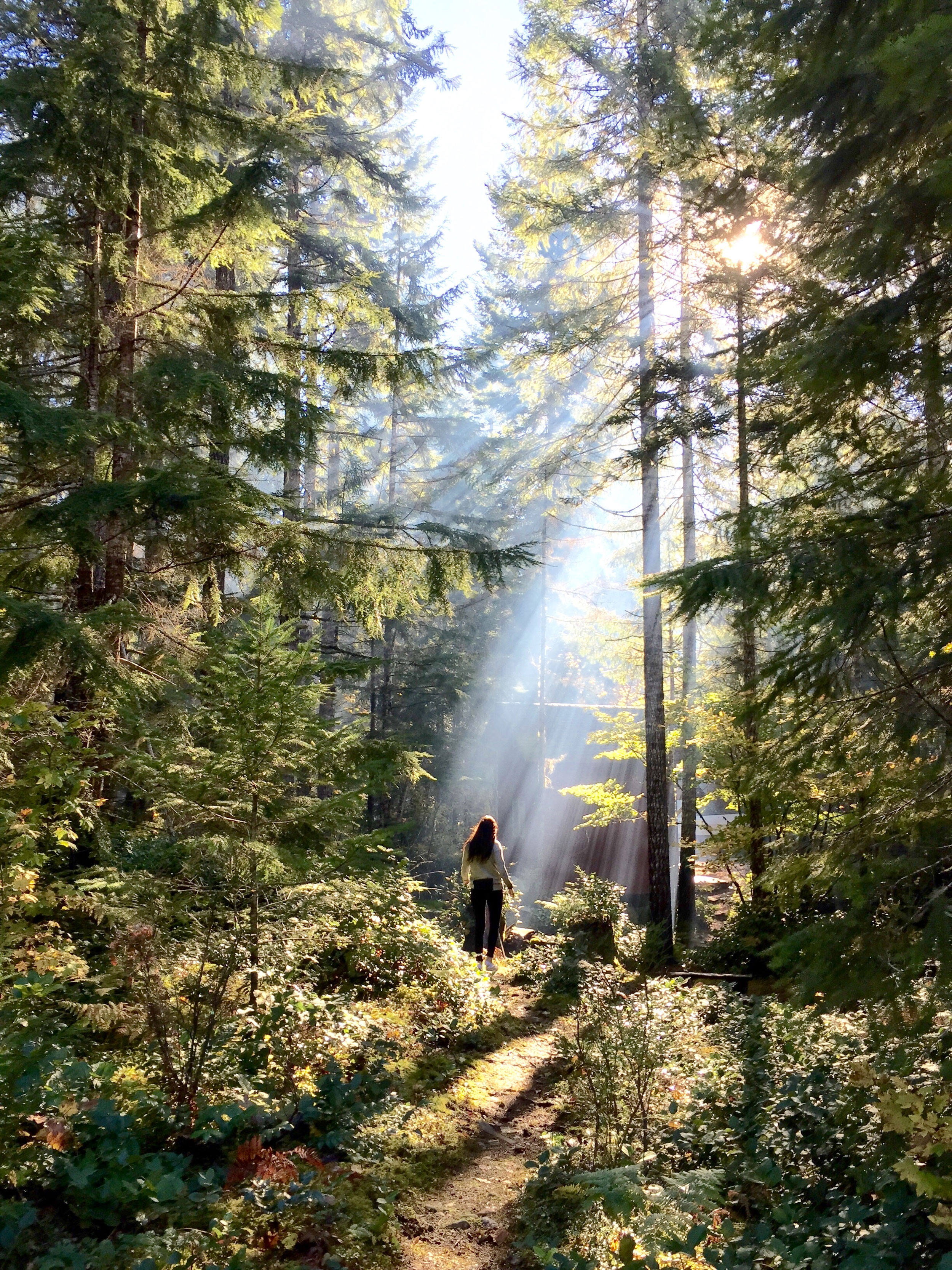 Lake Cushman, Washington, USA