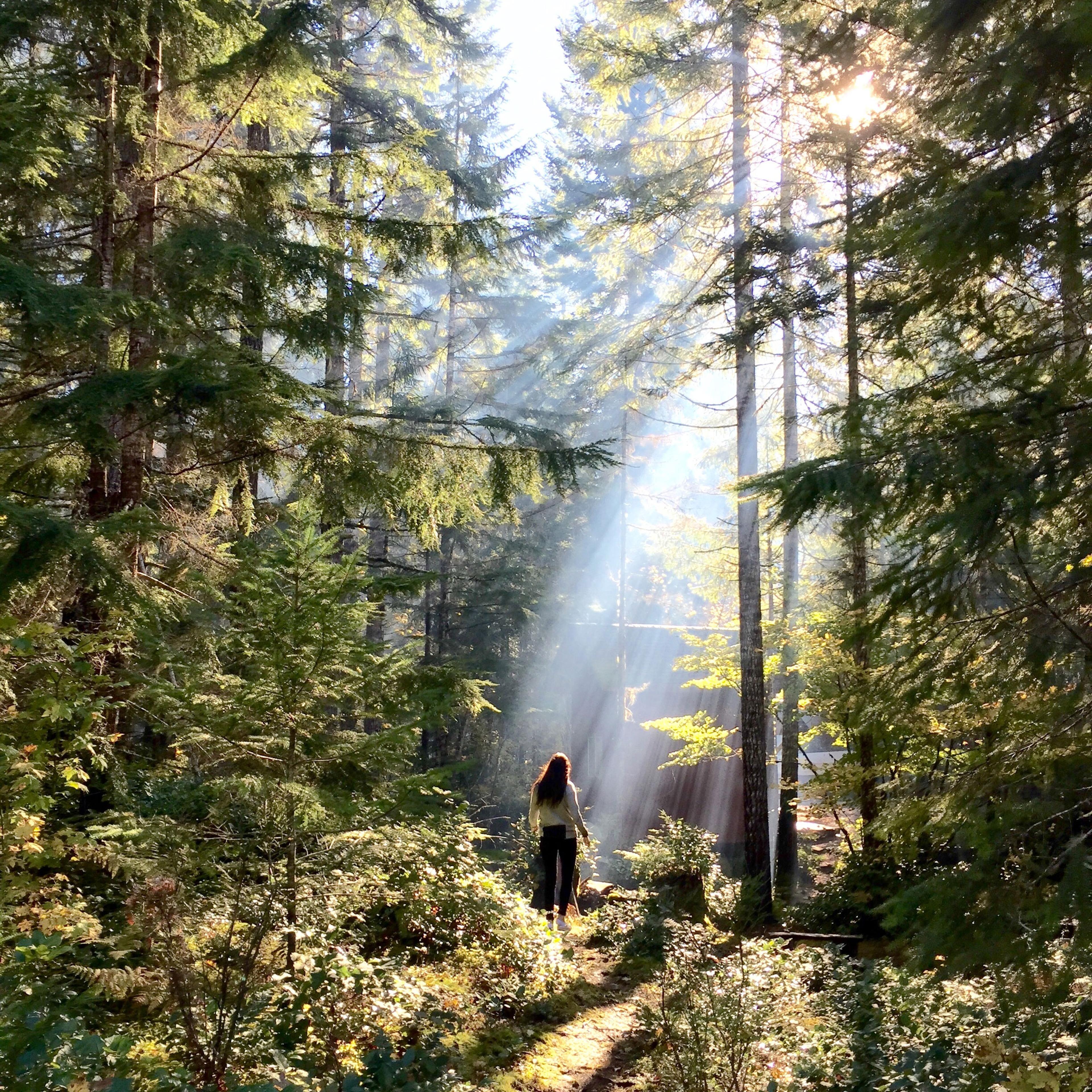 Lake Cushman, Washington, USA
