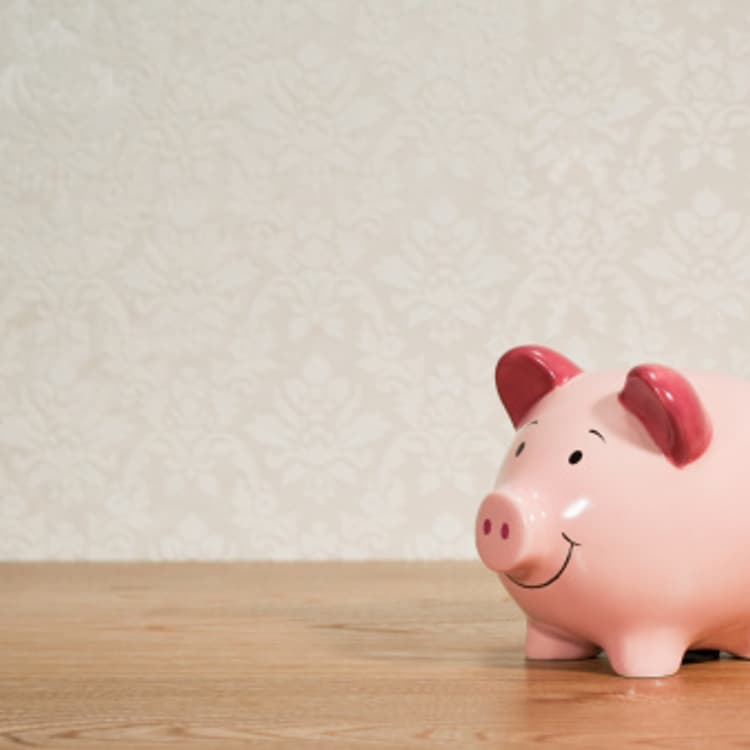 piggy-bank
