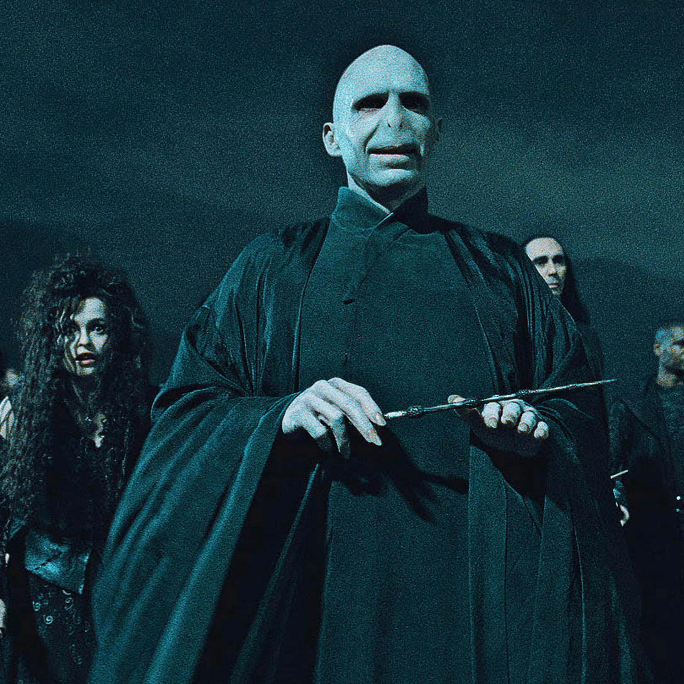 Voldemort Death Eaters Harry Potter