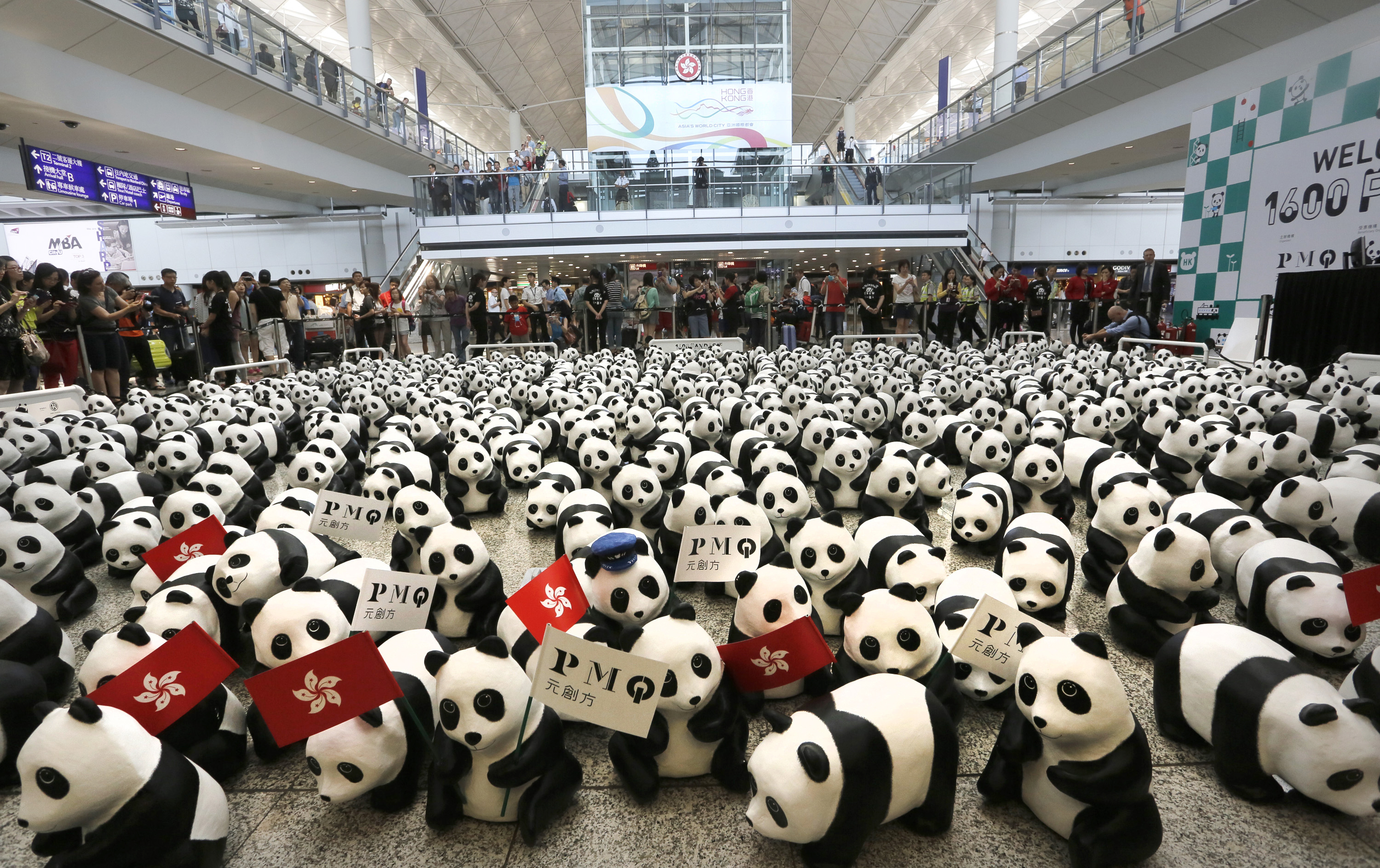 Hong Kong Pandas Tour Hong Kong Airport