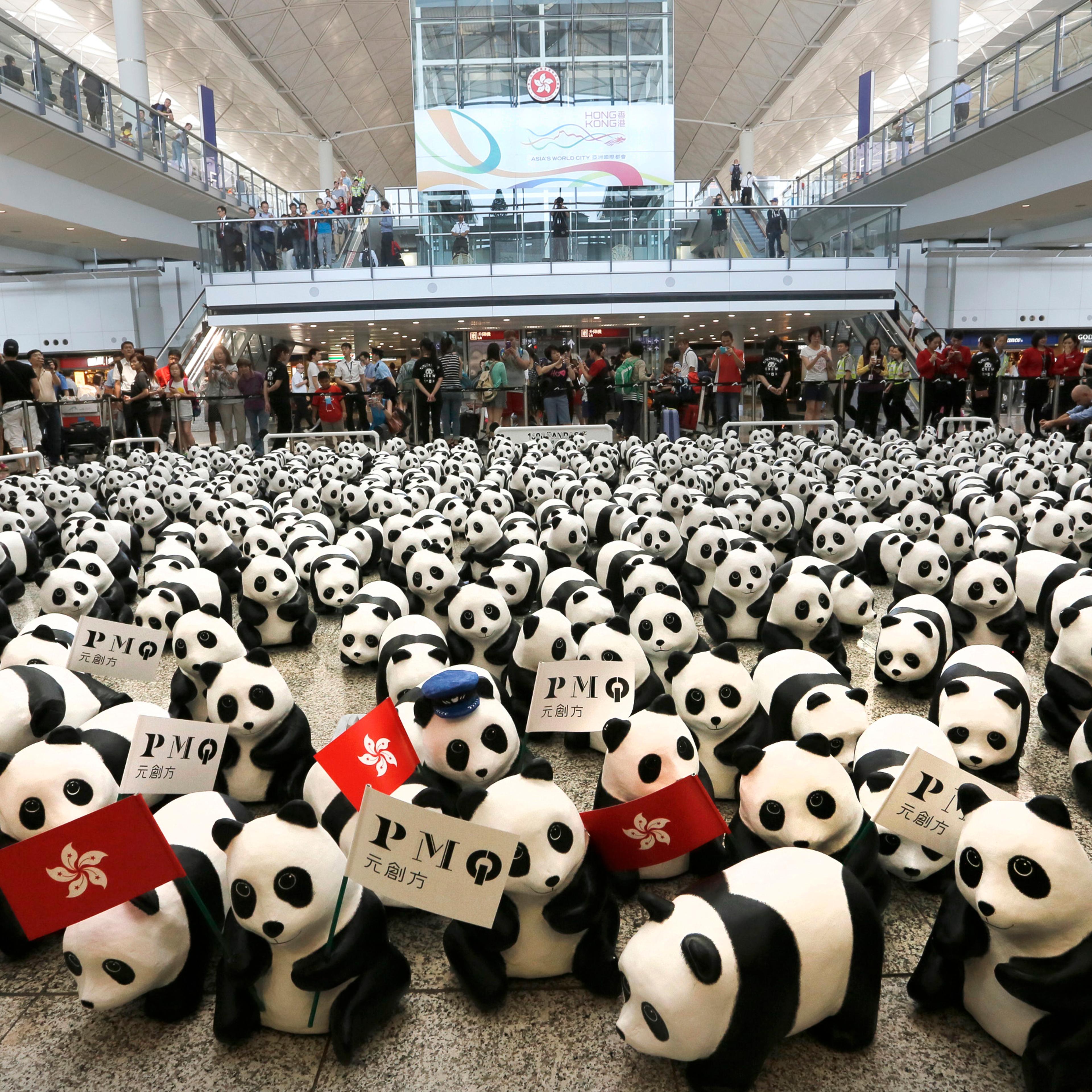 Hong Kong Pandas Tour Hong Kong Airport