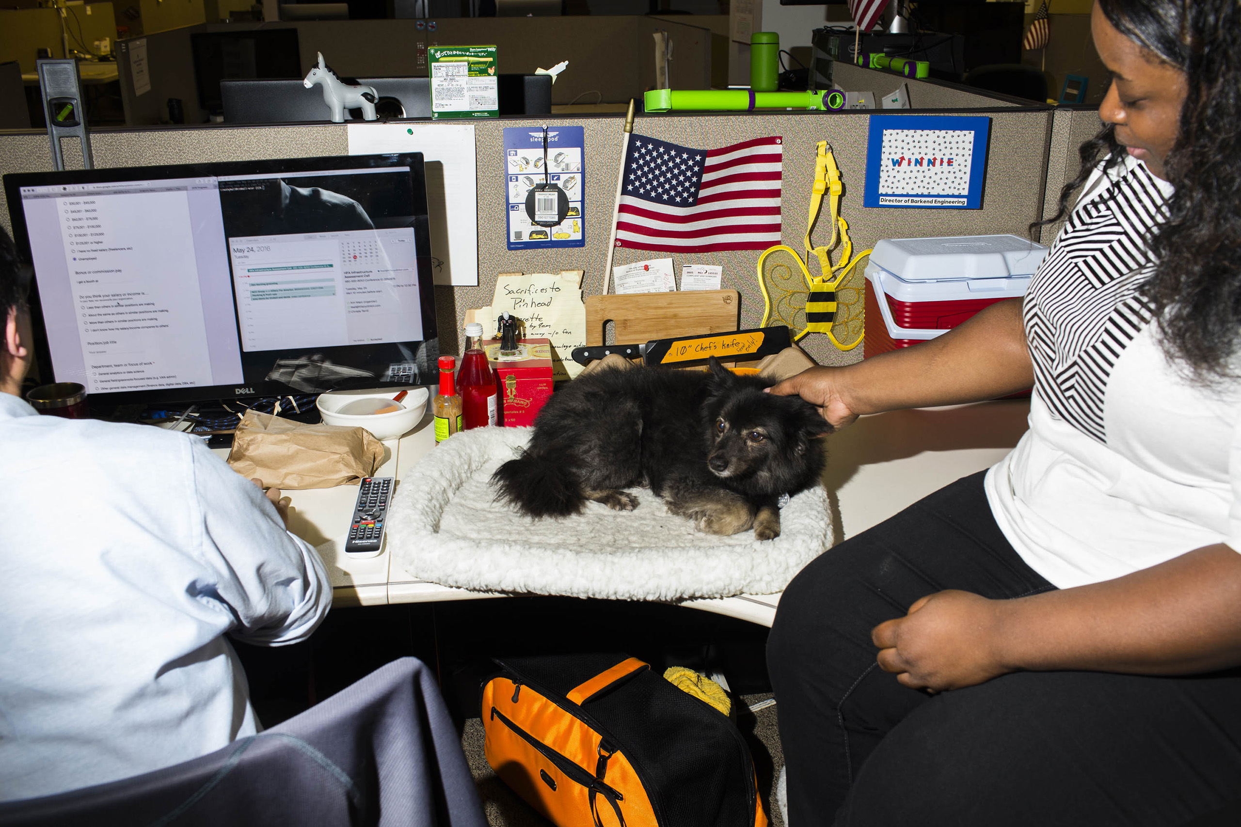 NEW YORK - MAY 24: Scenes from Inside the campaign headquarters of Hillary Clinton on May 24, 2016, in Brooklyn, NY. (Photo by Landon Nordeman)