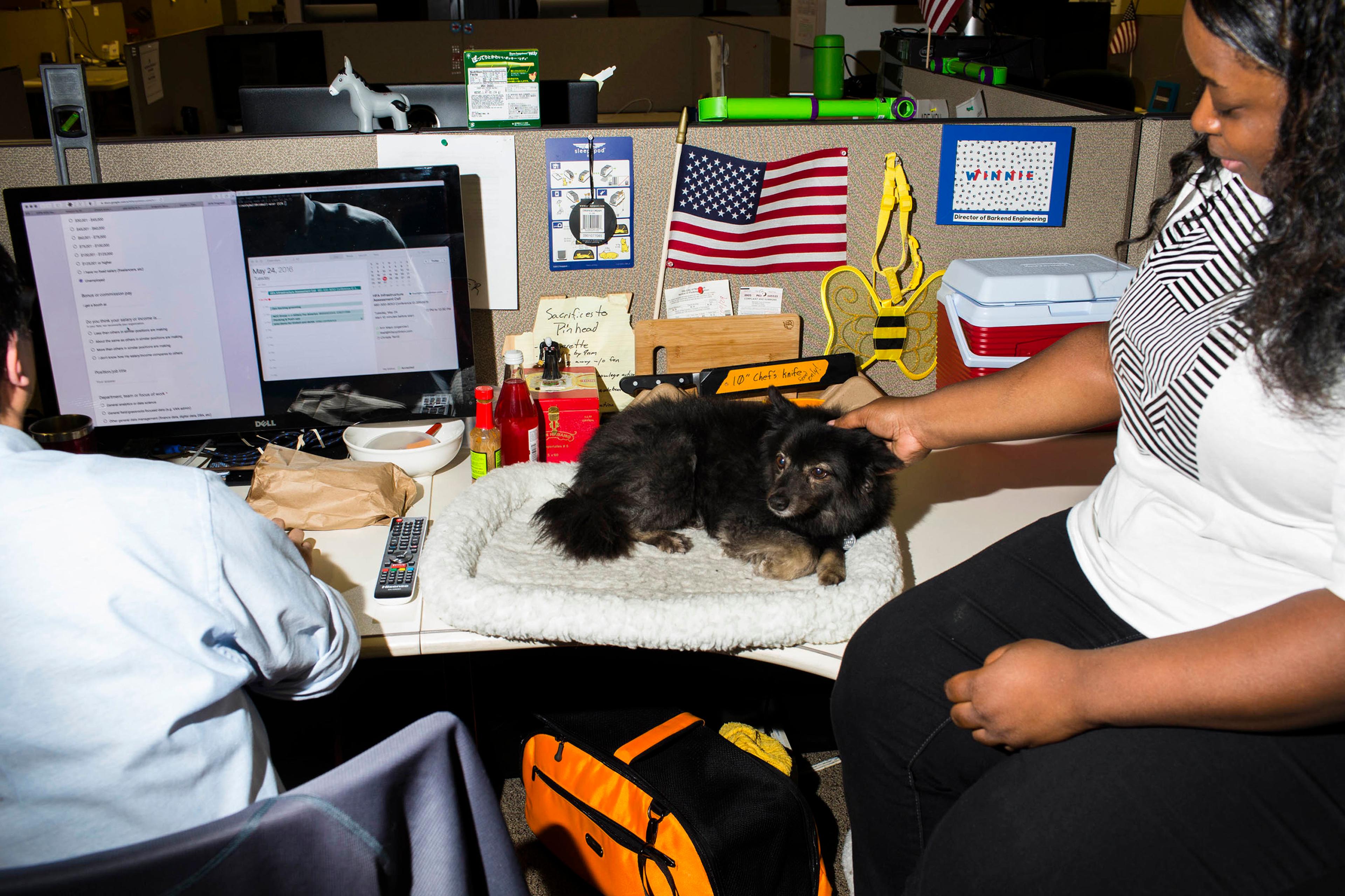 NEW YORK - MAY 24: Scenes from Inside the campaign headquarters of Hillary Clinton on May 24, 2016, in Brooklyn, NY. (Photo by Landon Nordeman)