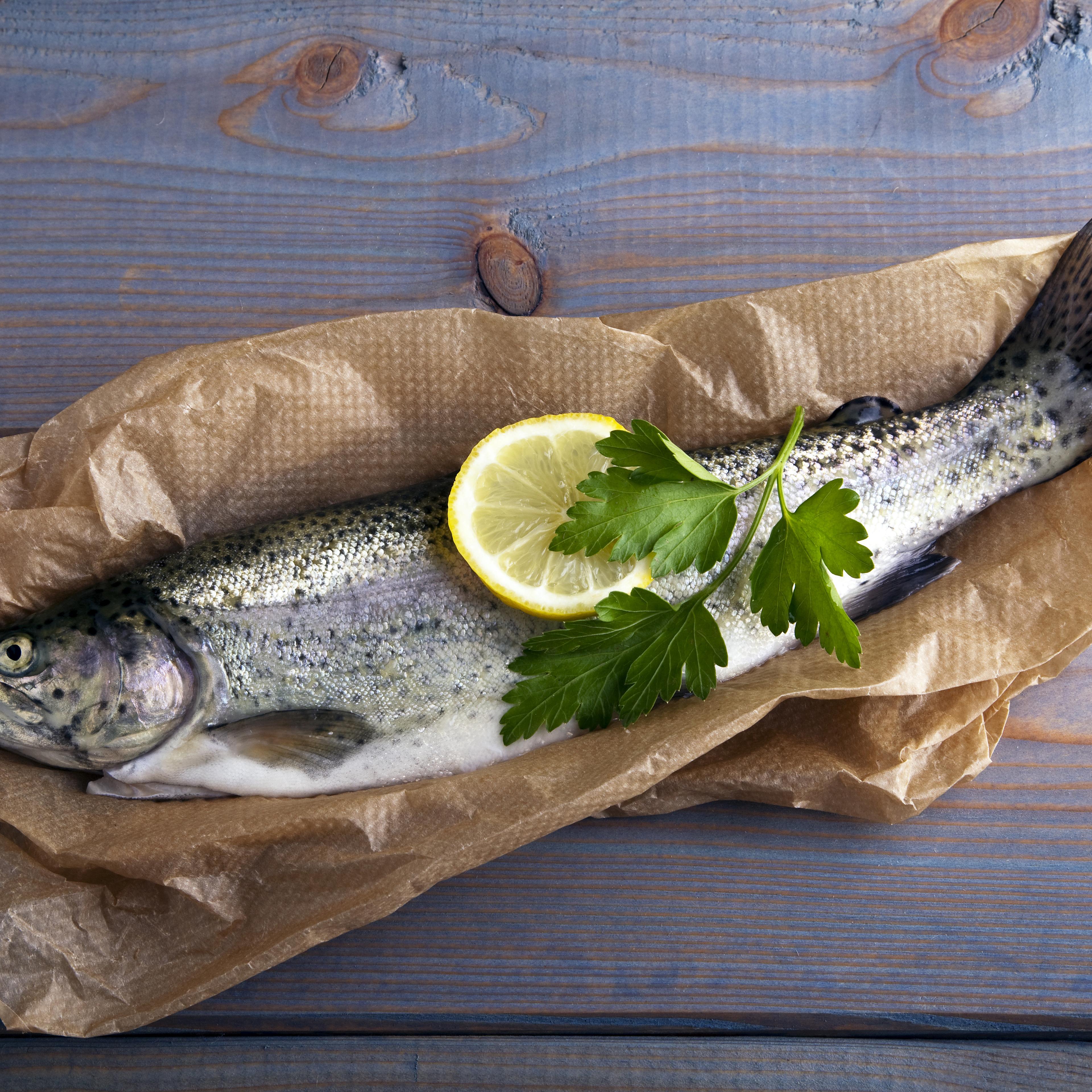 fish