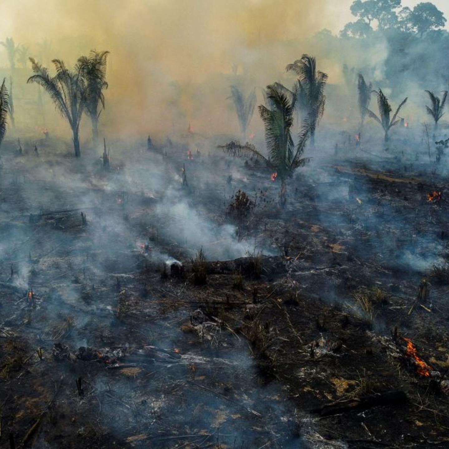 BRAZIL-ENVIRONMENT-AMAZON-DEFORESTATION