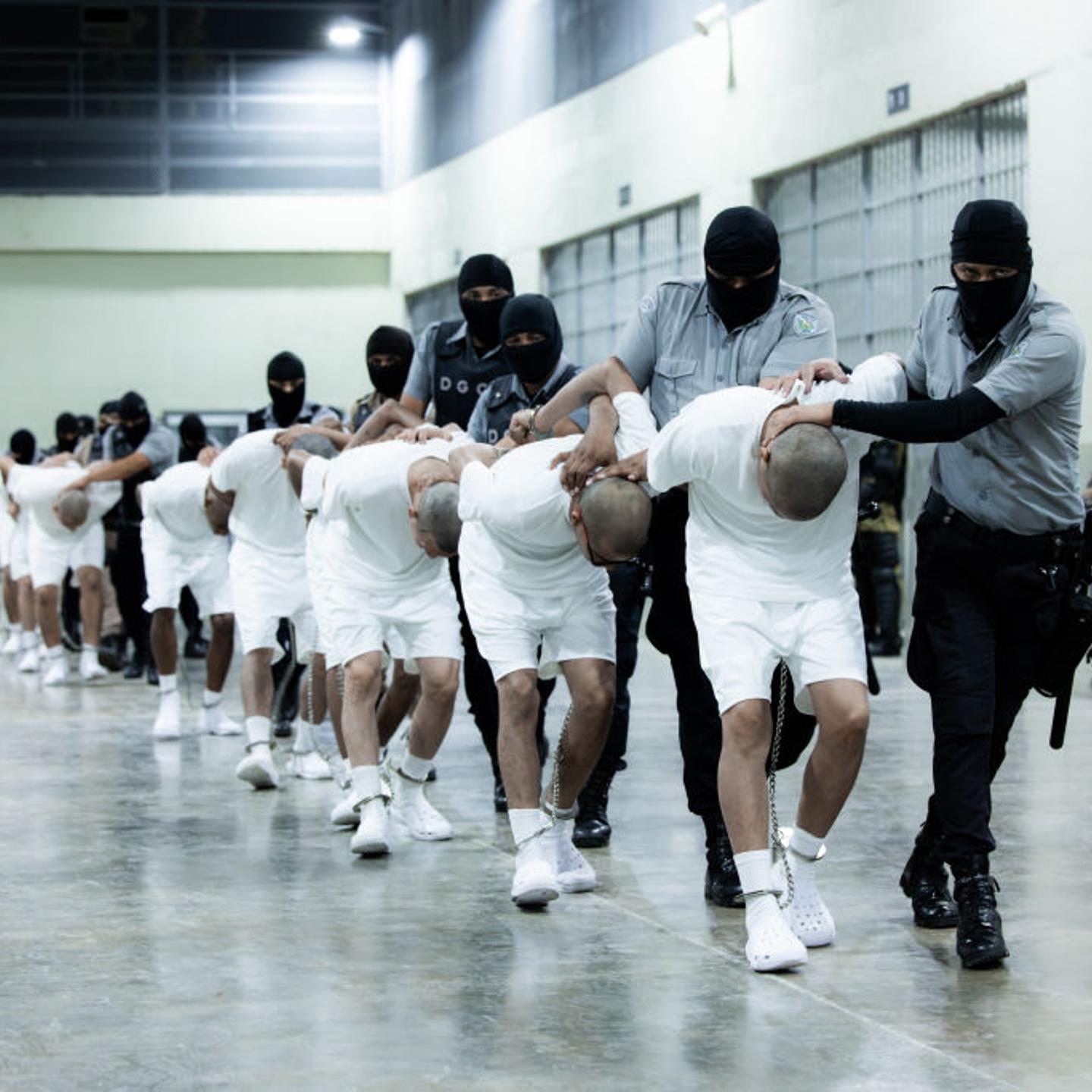 Salvadoran Government Receives 238 Alleged Members Of Criminal Organizations 'Tren De Aragua' and 'MS13'