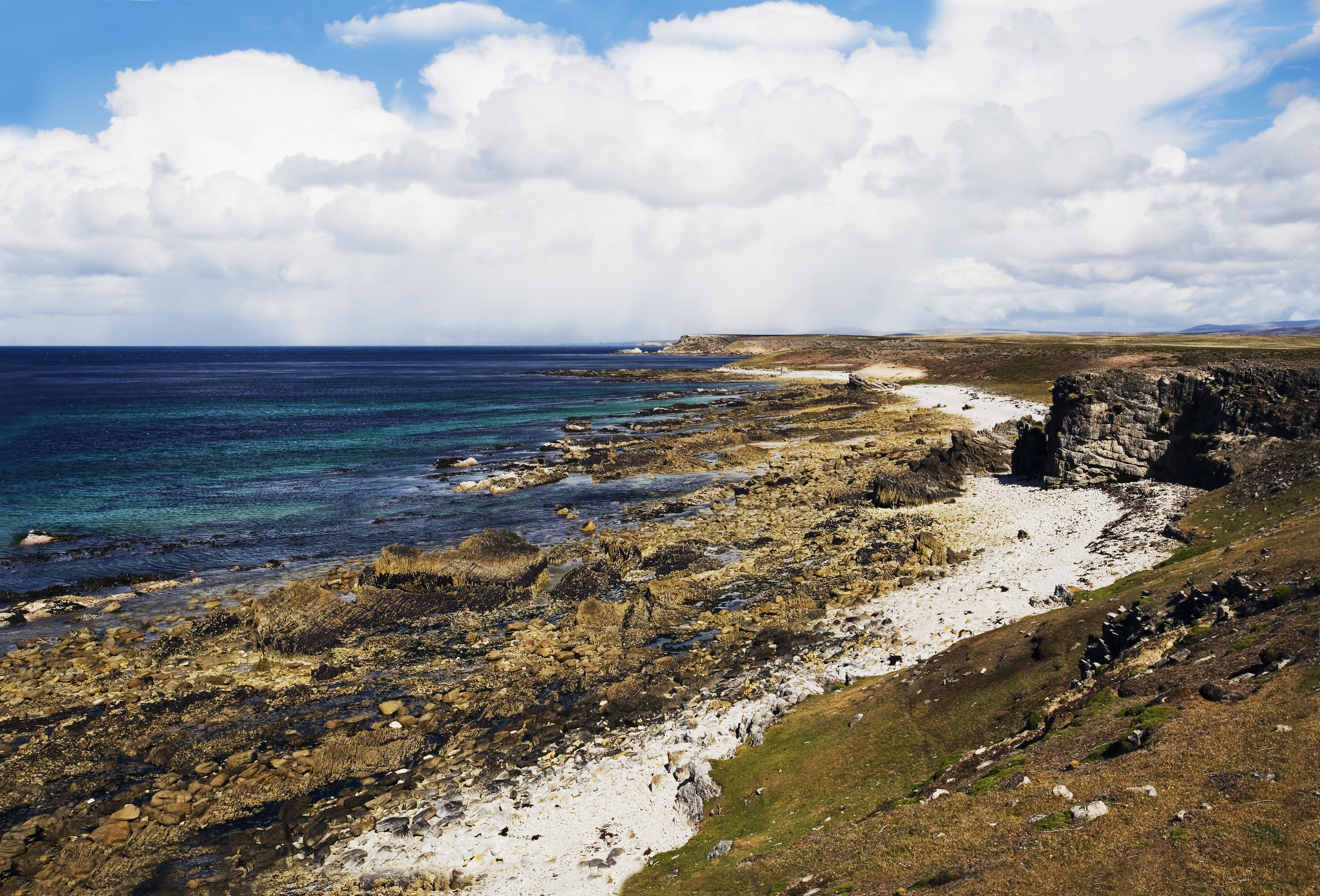 The northeast coast of Pebble Island