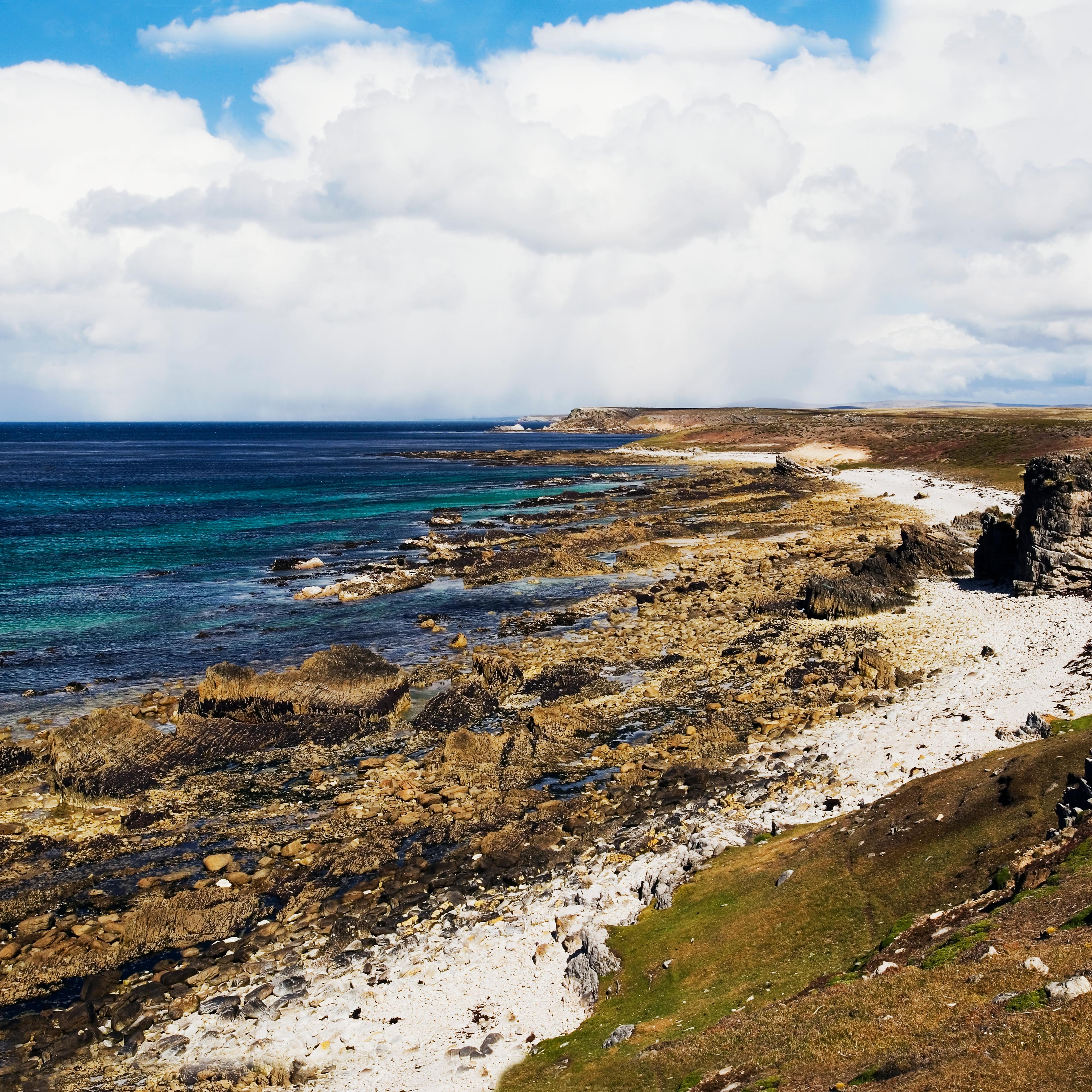 The northeast coast of Pebble Island