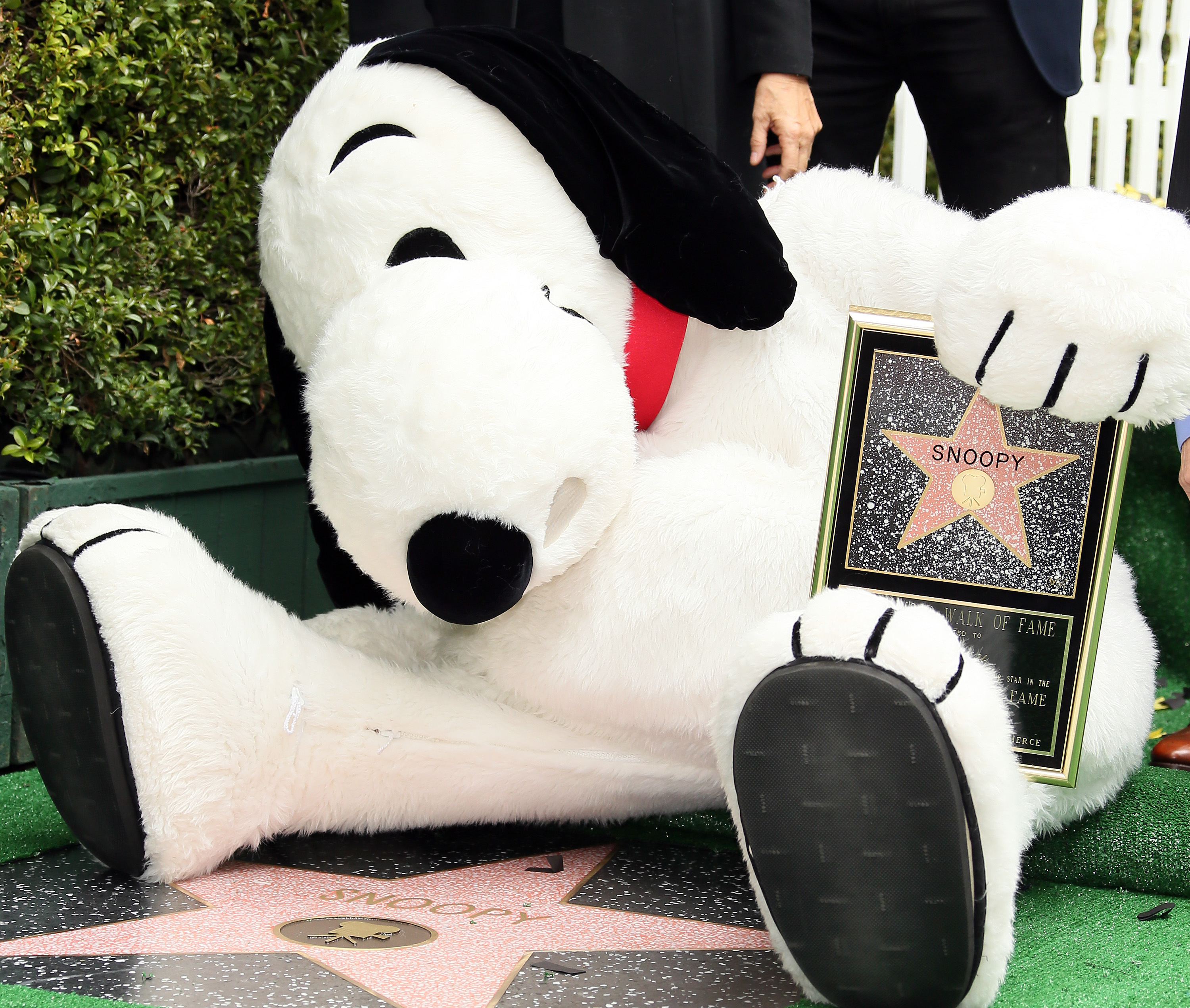 Snoopy is honored with a star on the Hollywood Walk of Fame on Nov. 2, 2015 in Hollywood, Calif.