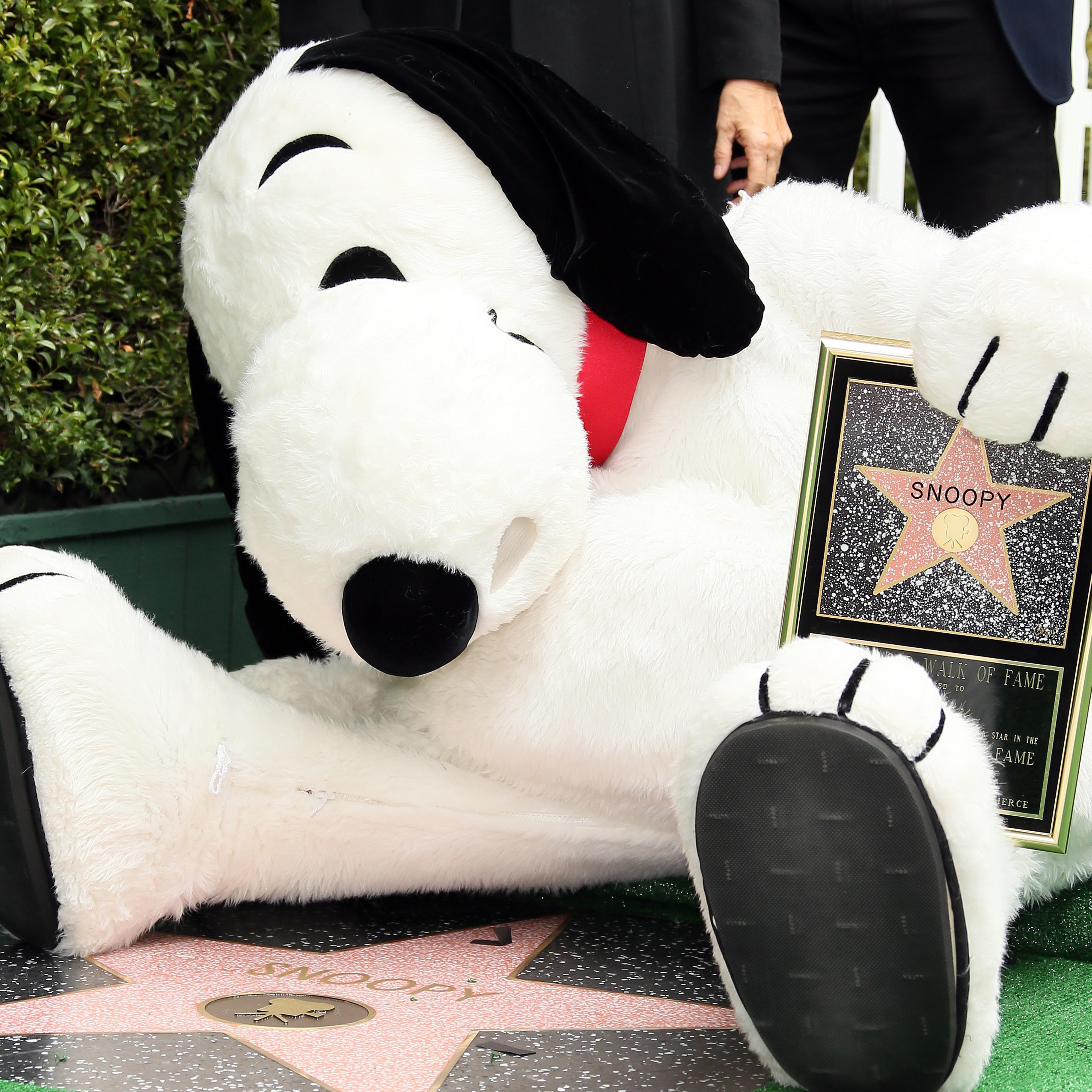 Snoopy is honored with a star on the Hollywood Walk of Fame on Nov. 2, 2015 in Hollywood, Calif.
