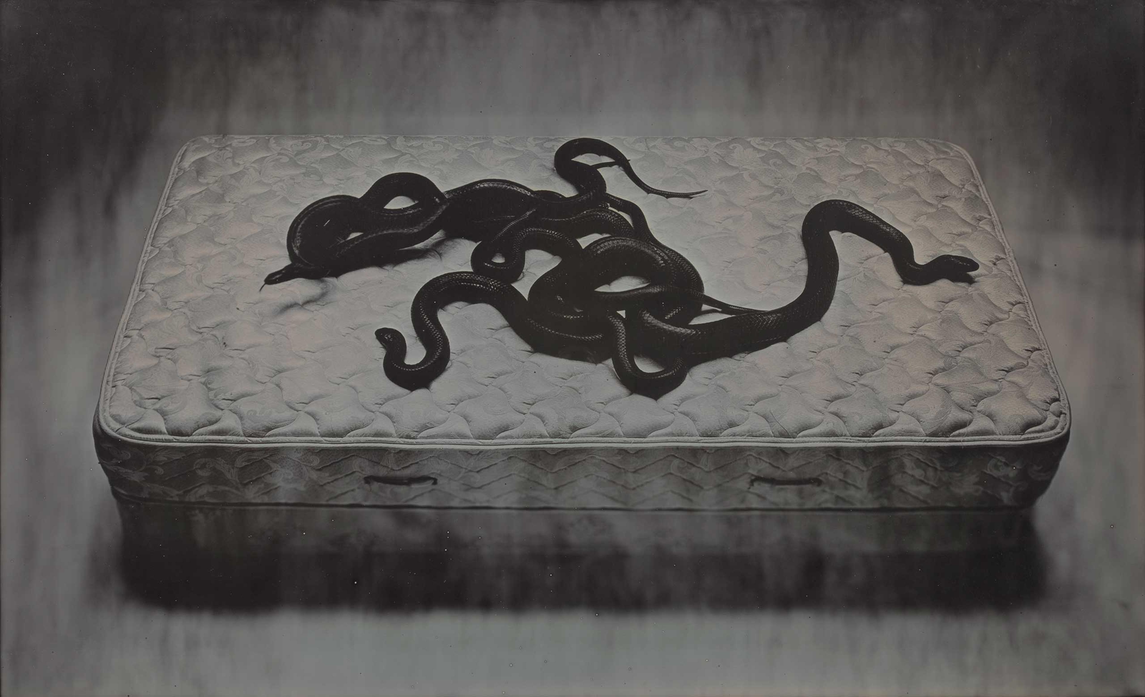 Adam Fuss Daguerreotypes & The Womb of the Pre-Raphaelite Imagination, Hans P. Kraus, Jr., Inc. Fine Photographs, N.Y.: Sept. 28 - Nov. 8 (Caption: Home and the World, 2010, Daguerreotype)