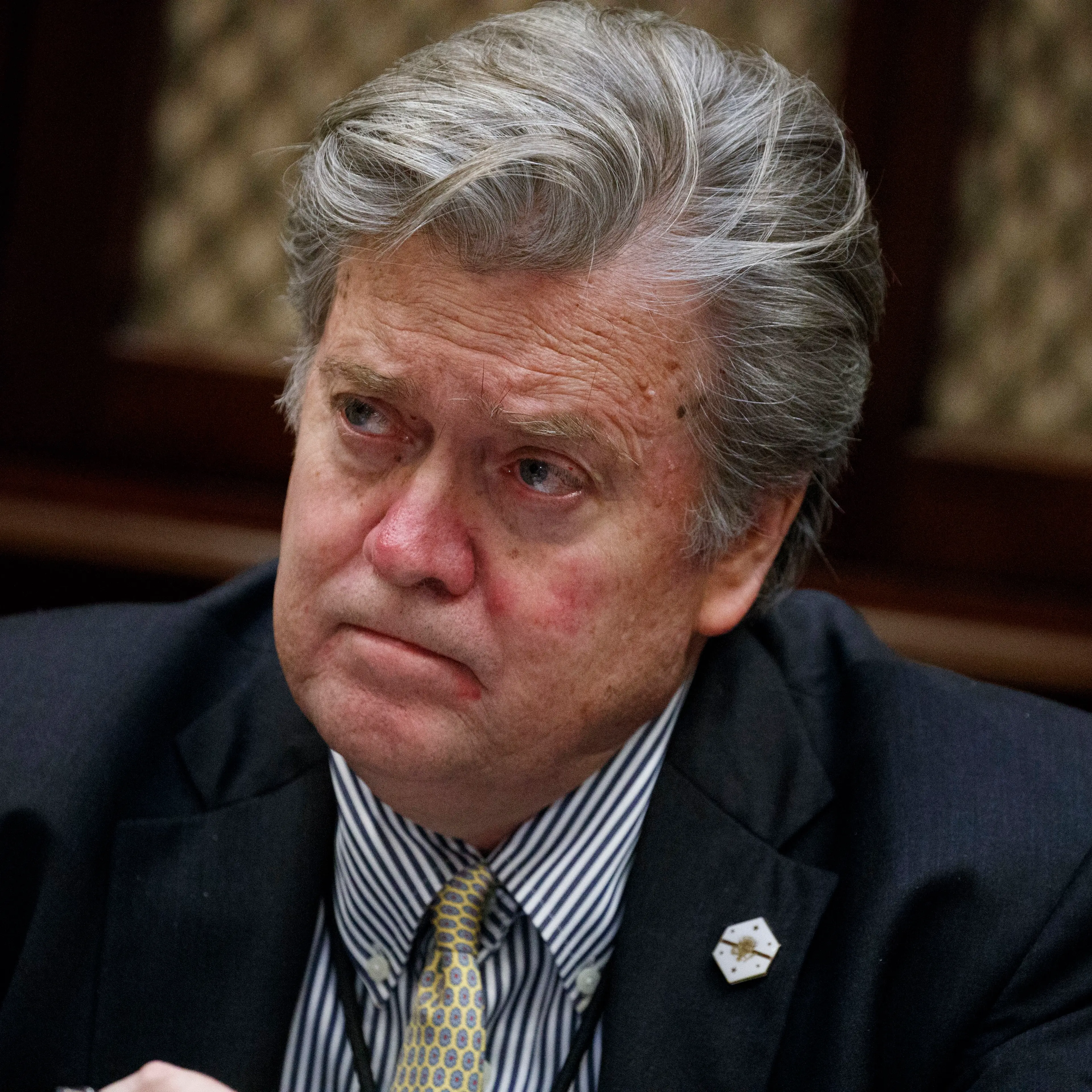 Steve Bannon