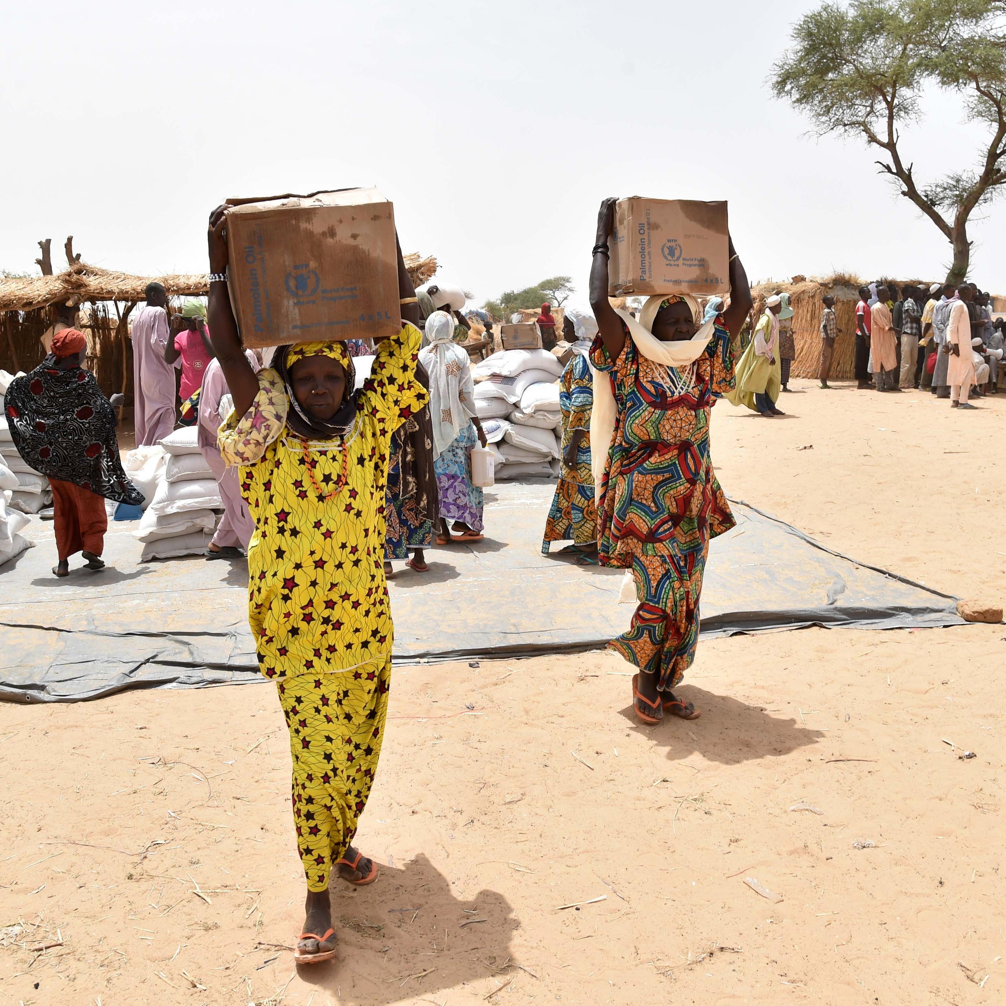 USAID food distribution at refugee camp after Boko Haram incursions