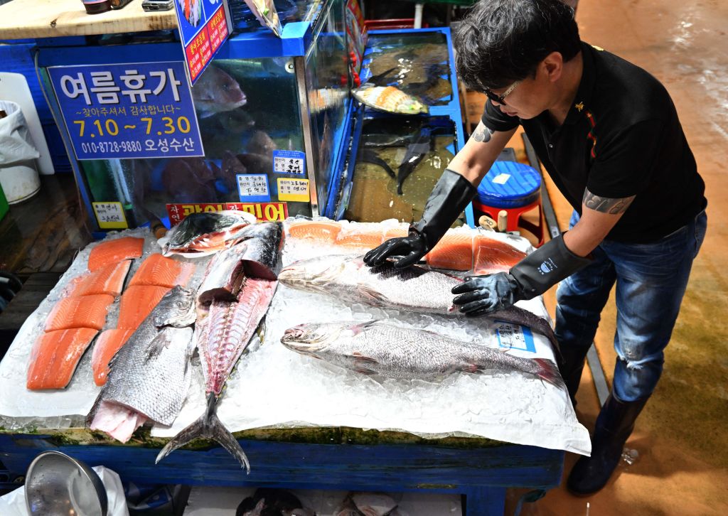 SKOREA-JAPAN-NUCLEAR SAFETY-IAEA-FUKUSHIMA