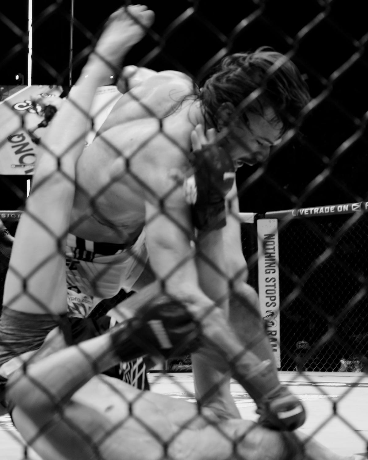 Fight In House Advertisement