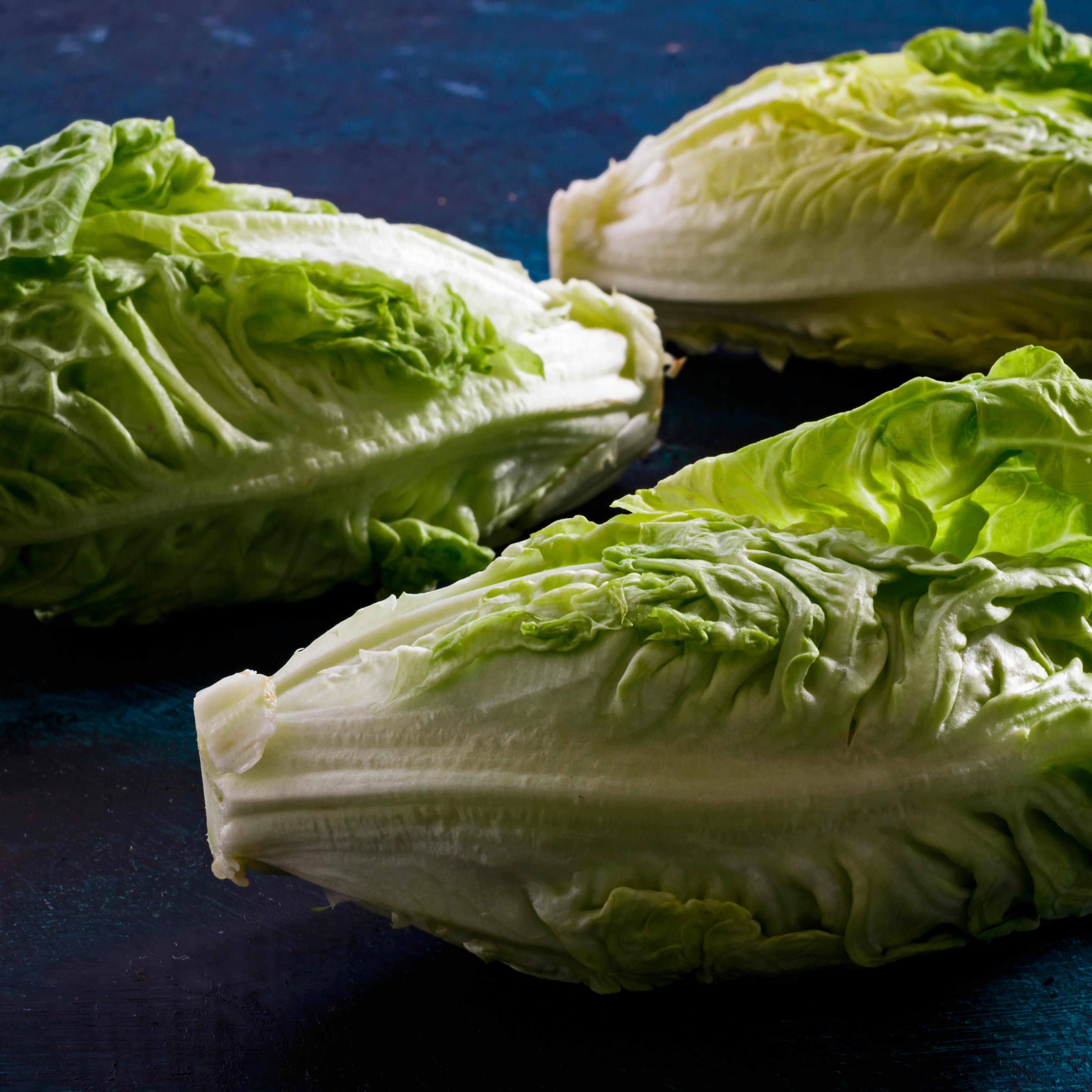 Romaine lettuce