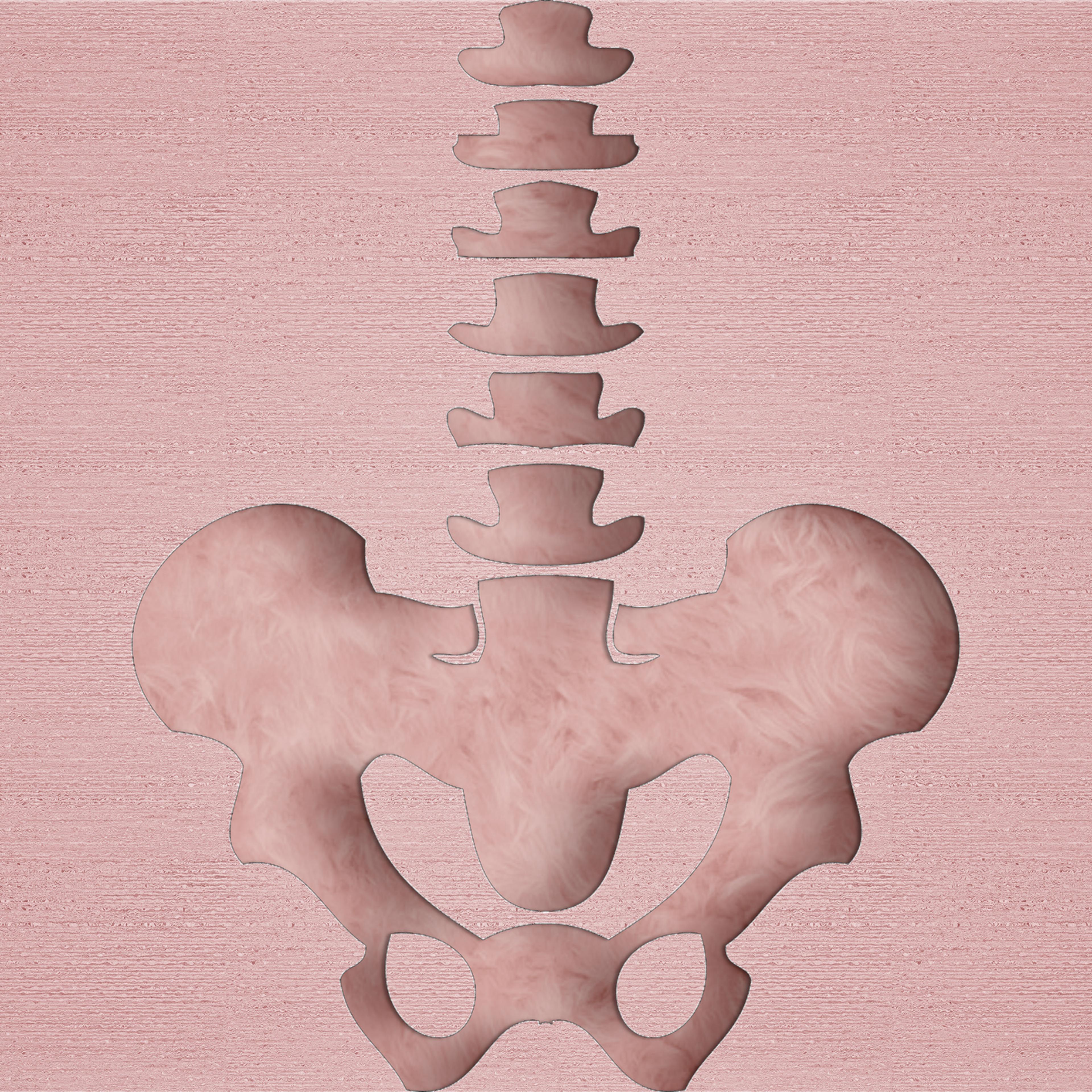bones-illustration