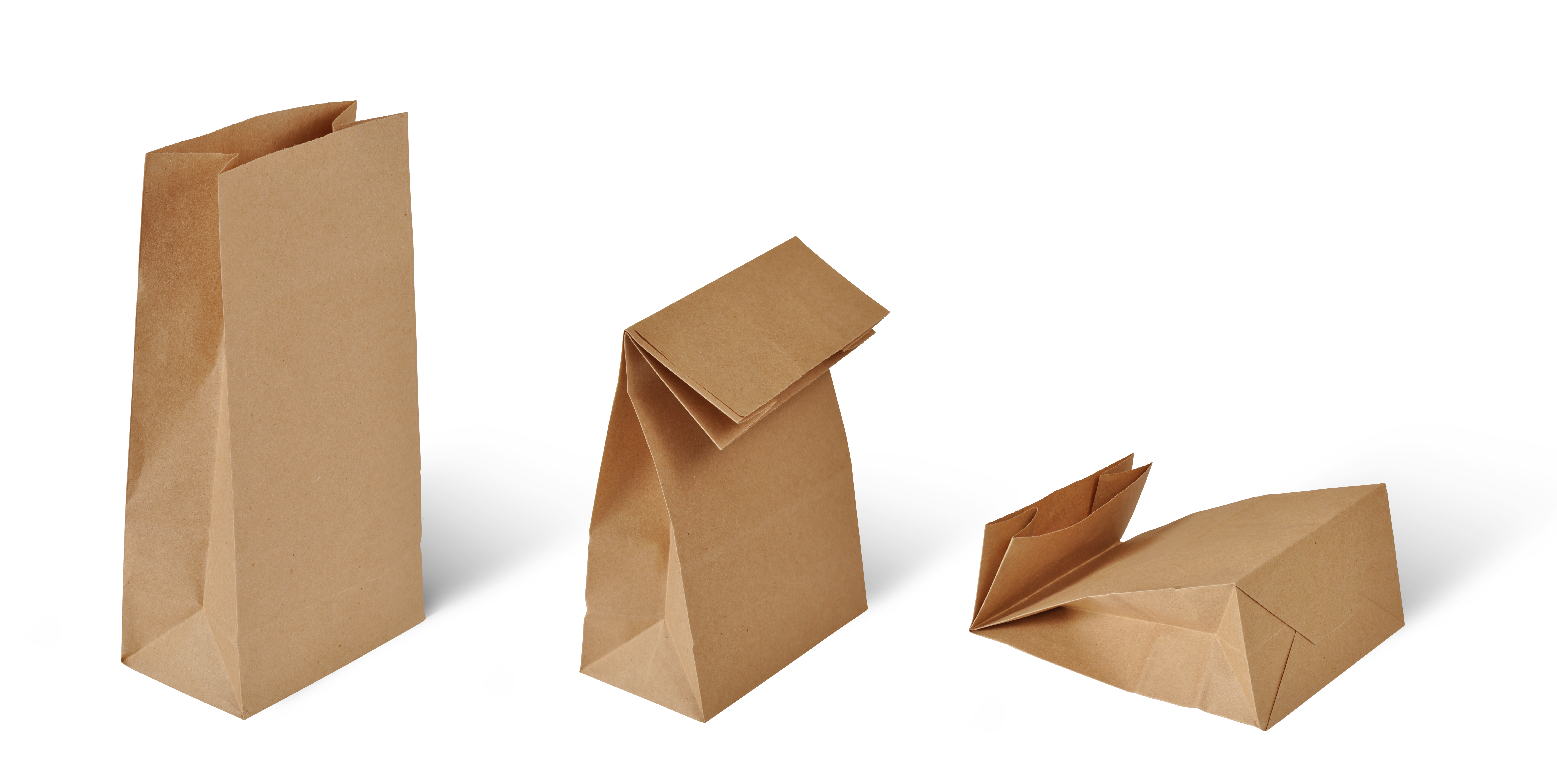 Paper bag