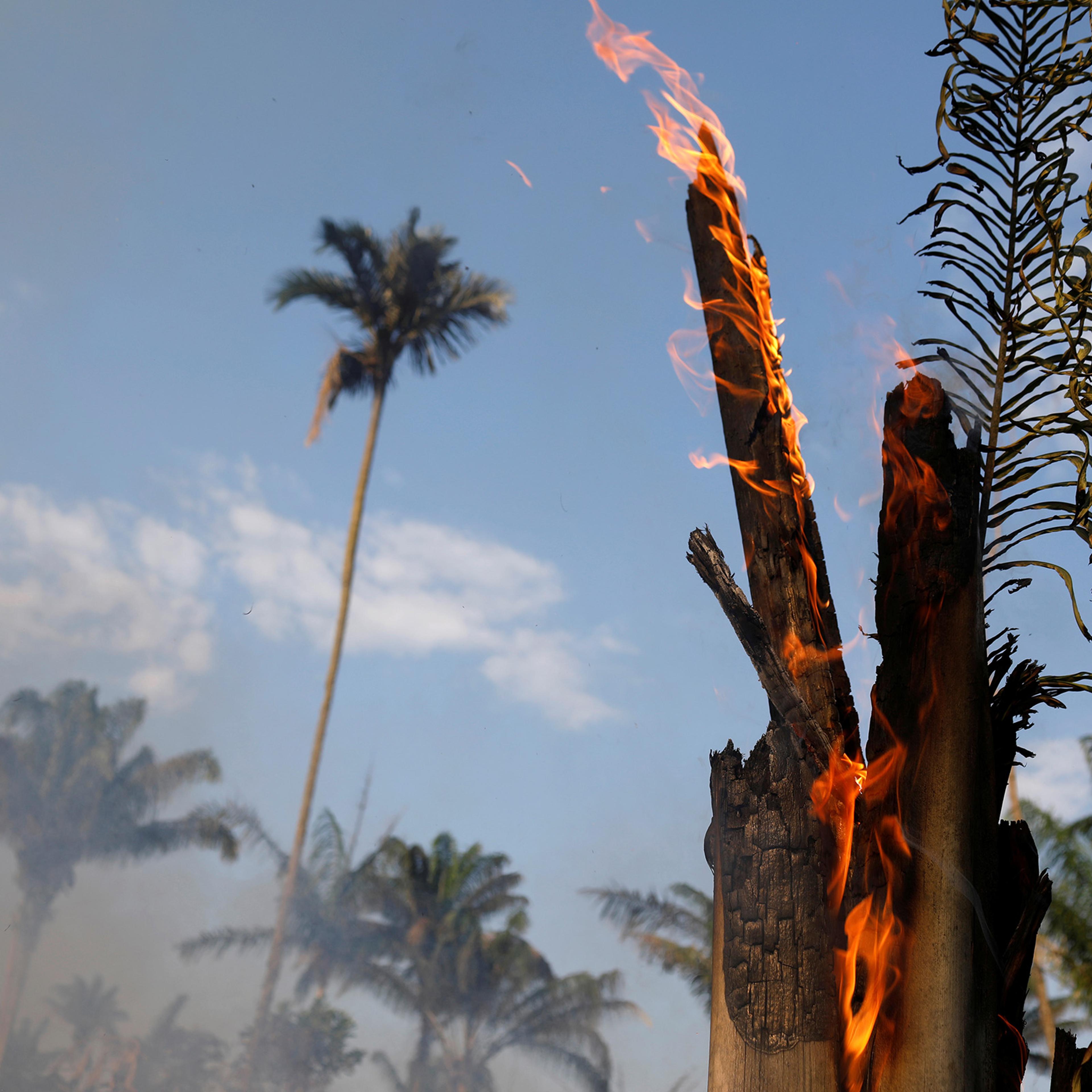 An tract of Amazon jungle burning as it is being cleared by loggers and farmers in Iranduba