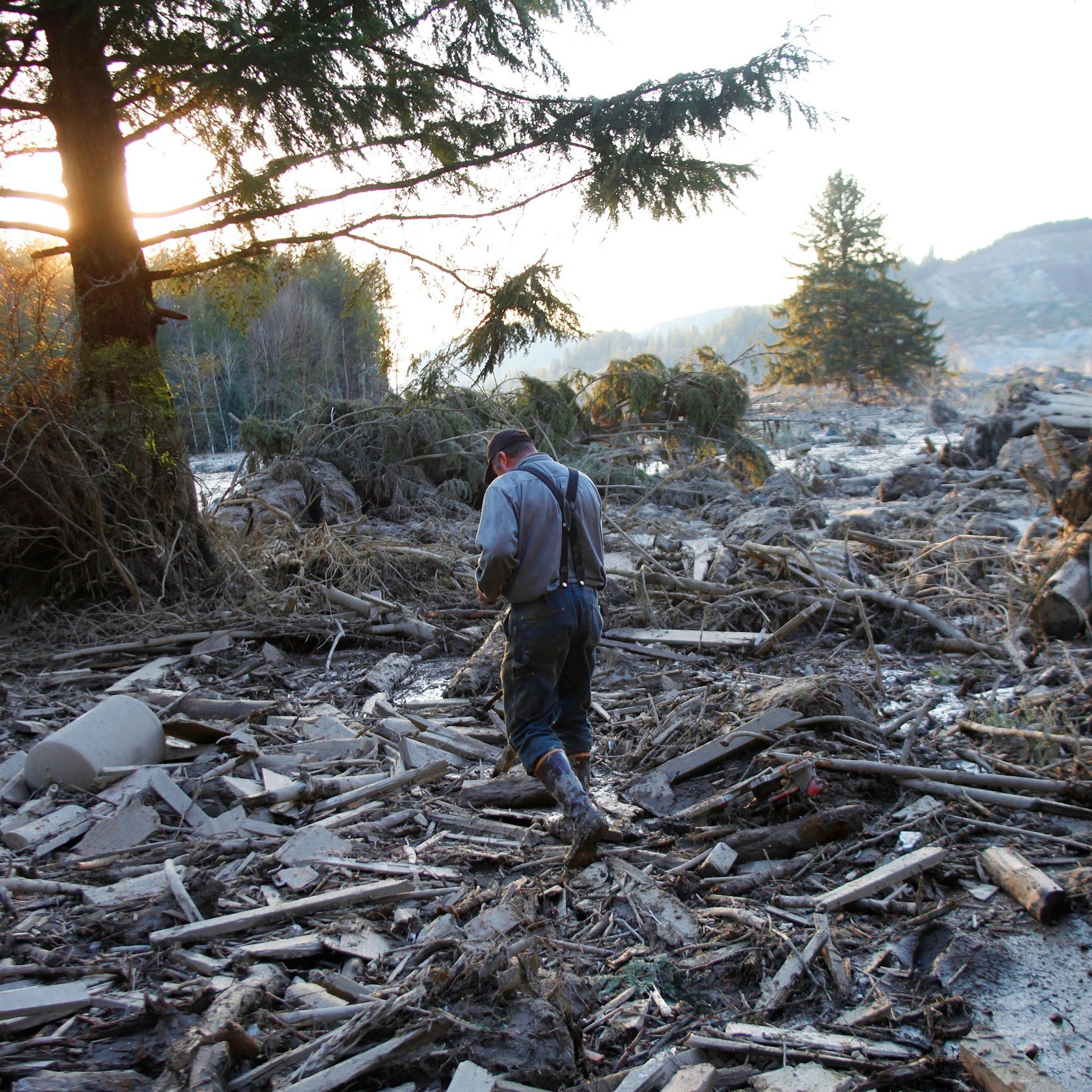 Oso Mudslide