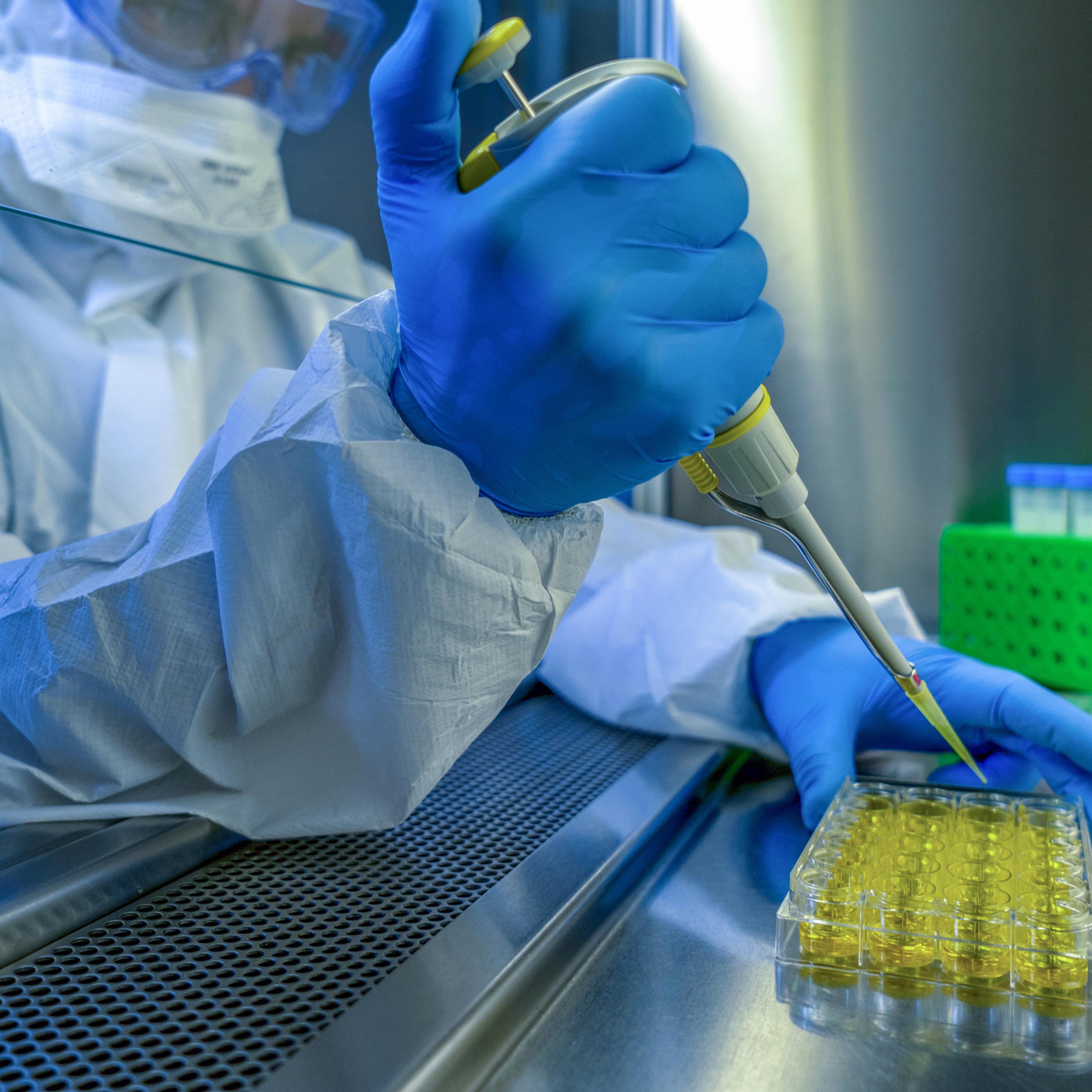 Researching vaccine to novel coronavirus 2019-nCoV. Close-up shot of a scientist preparing glass slide.